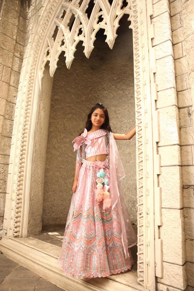 Pink Sequence Embroidery Crop Top Skirt - Mokshaa