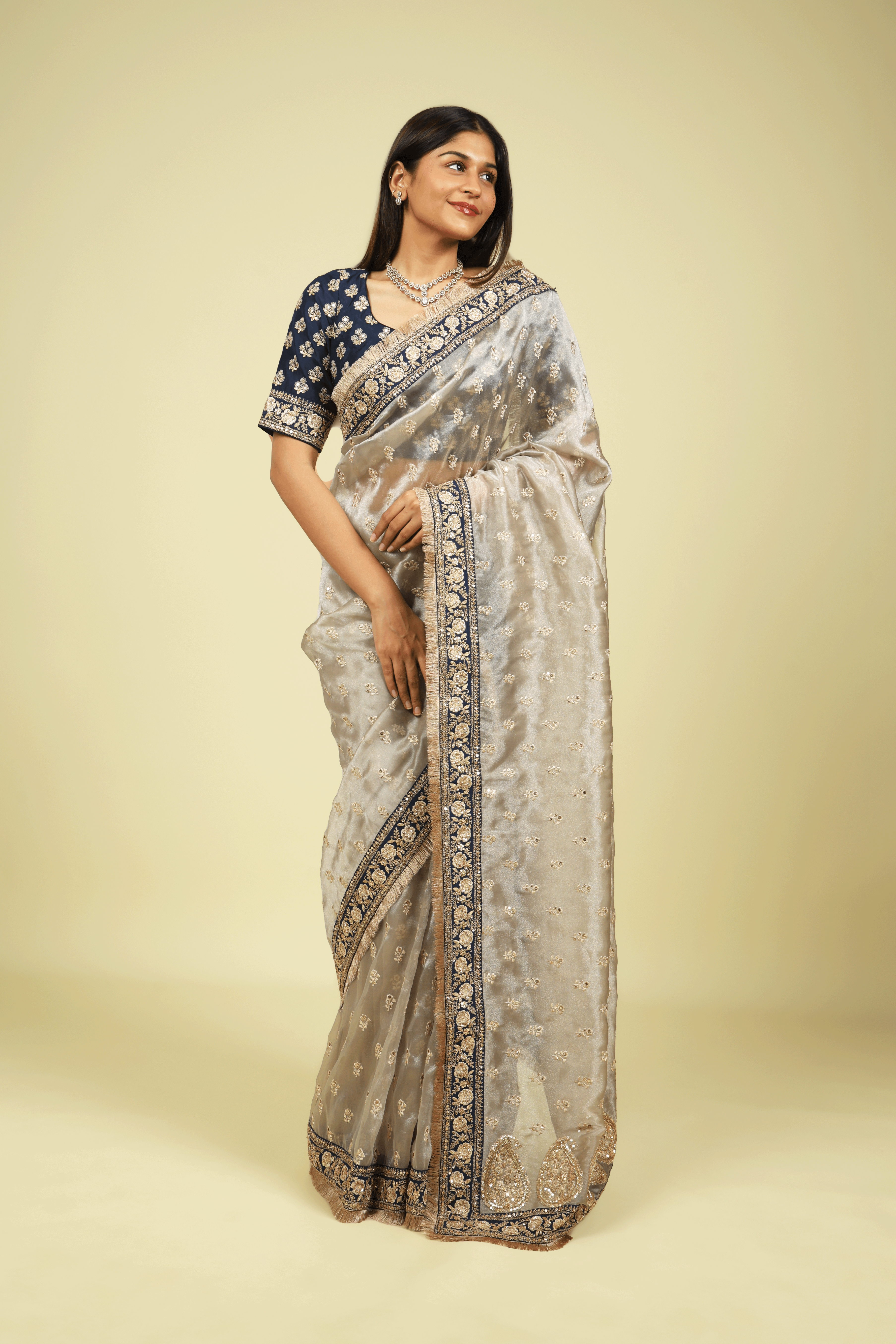 Silver Tissue Saree with Thread Motifs, Sequin Highlights & Contrast Embroidered Border