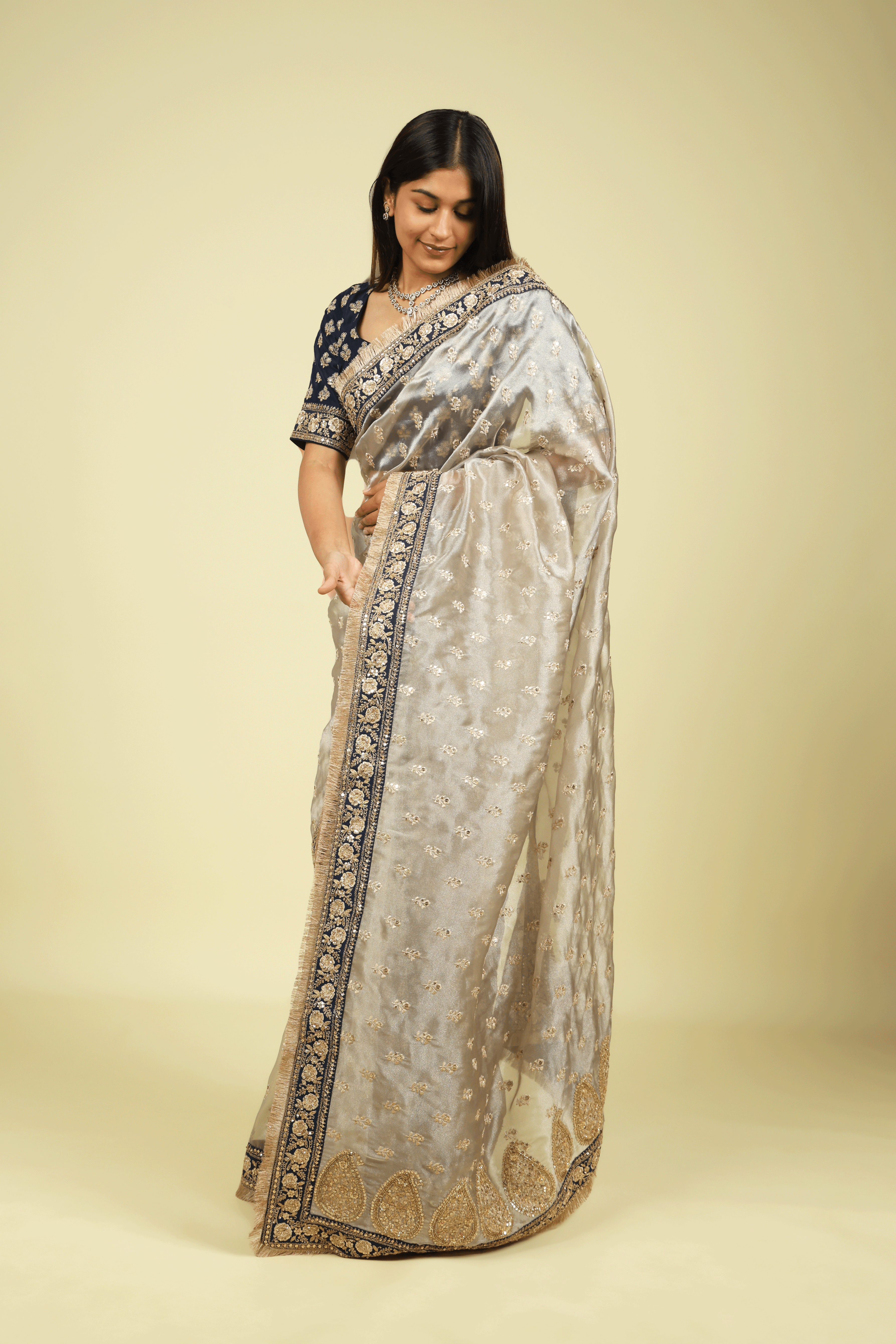 Silver Tissue Saree with Thread Motifs, Sequin Highlights & Contrast Embroidered Border