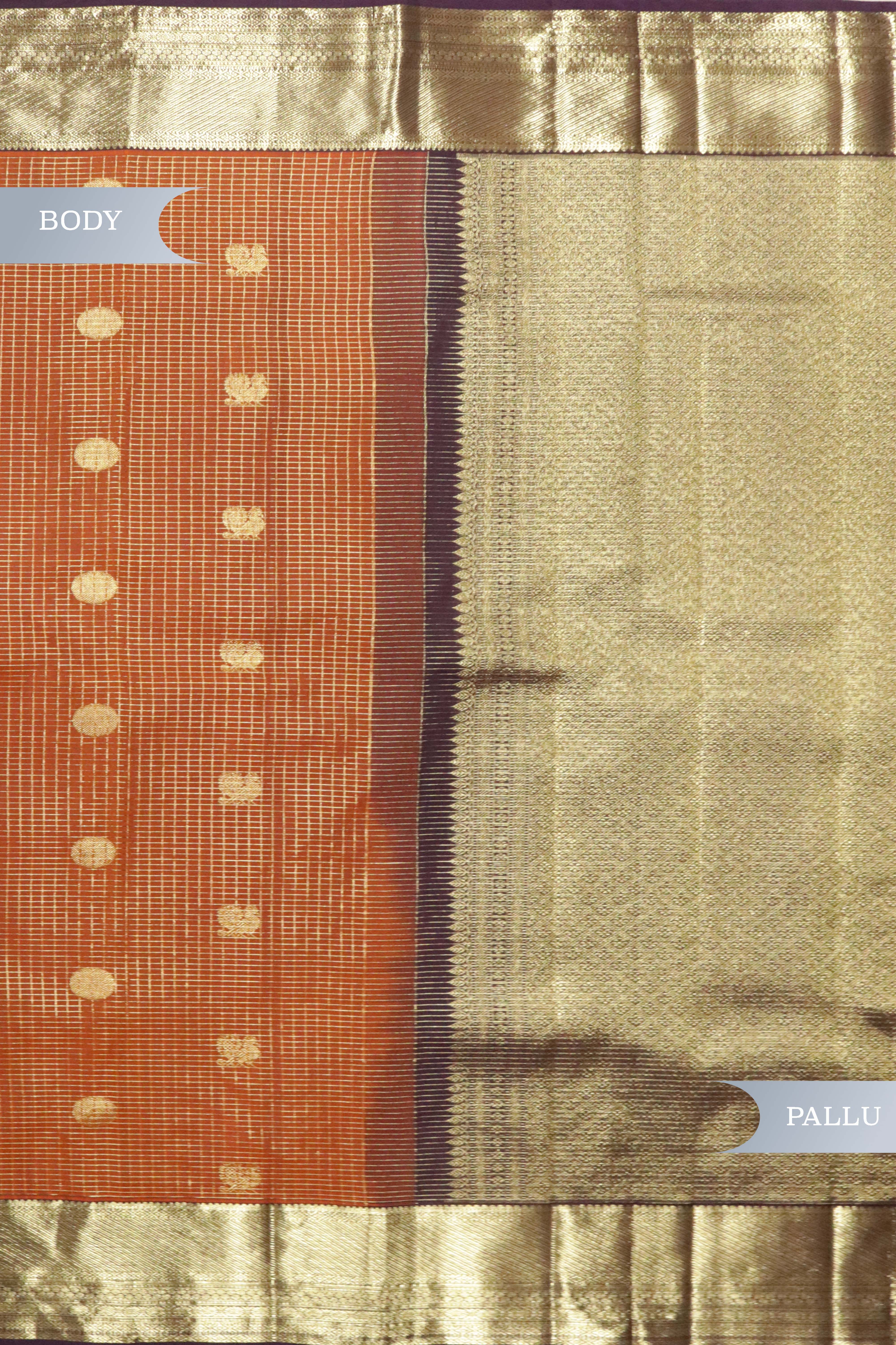 Rust Orange Kanchipuram Silk Saree with Zari Checks, Motifs & Weaving Border