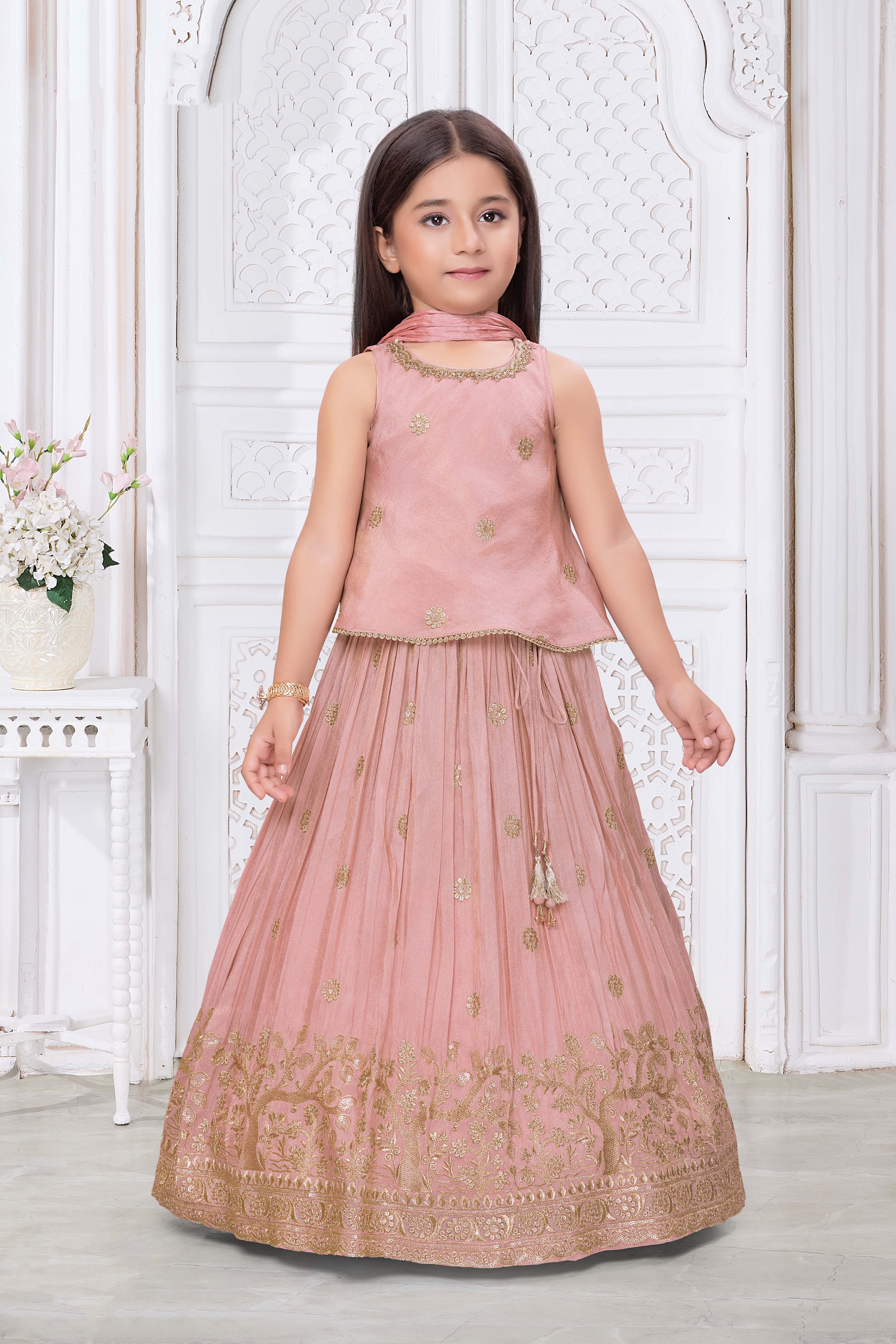 Peach Shimmer Tissue Lehenga