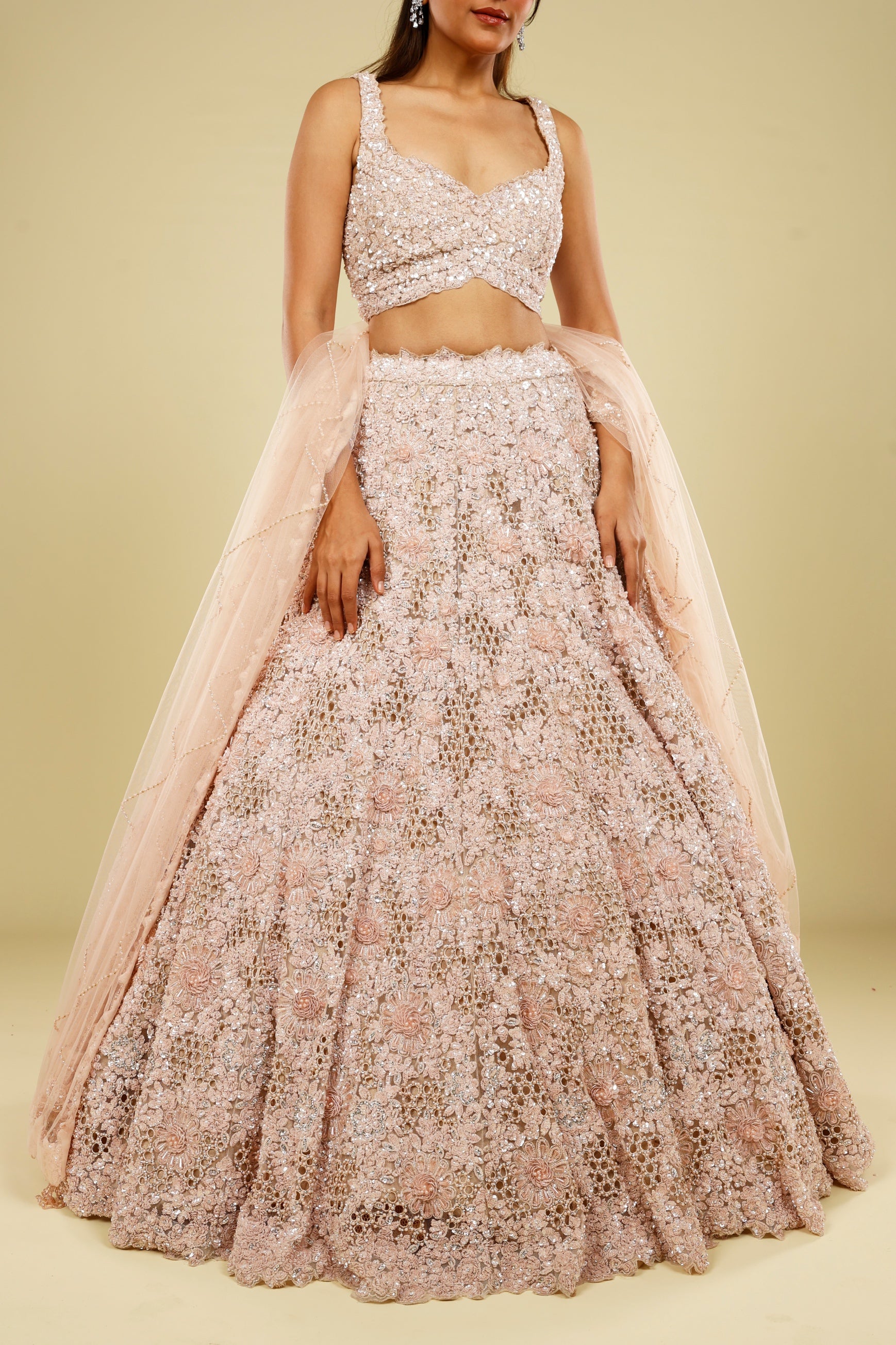Blush Pink Net Cutwork Lehenga Set with Sequin, Stone & Pearl Embroidery
