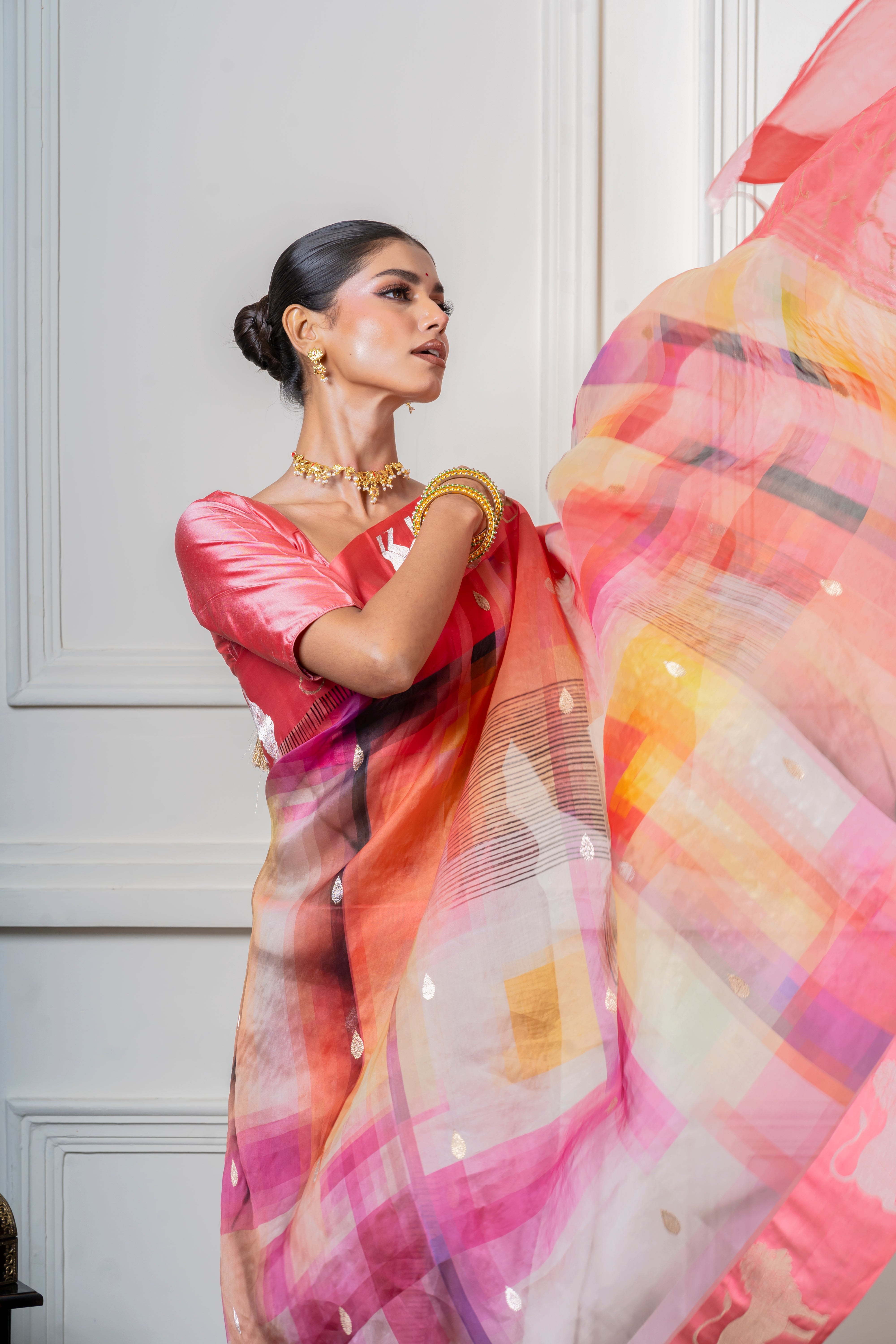 Multicolor Organza Saree with Geometric Print and Animal Motif Mokshaa