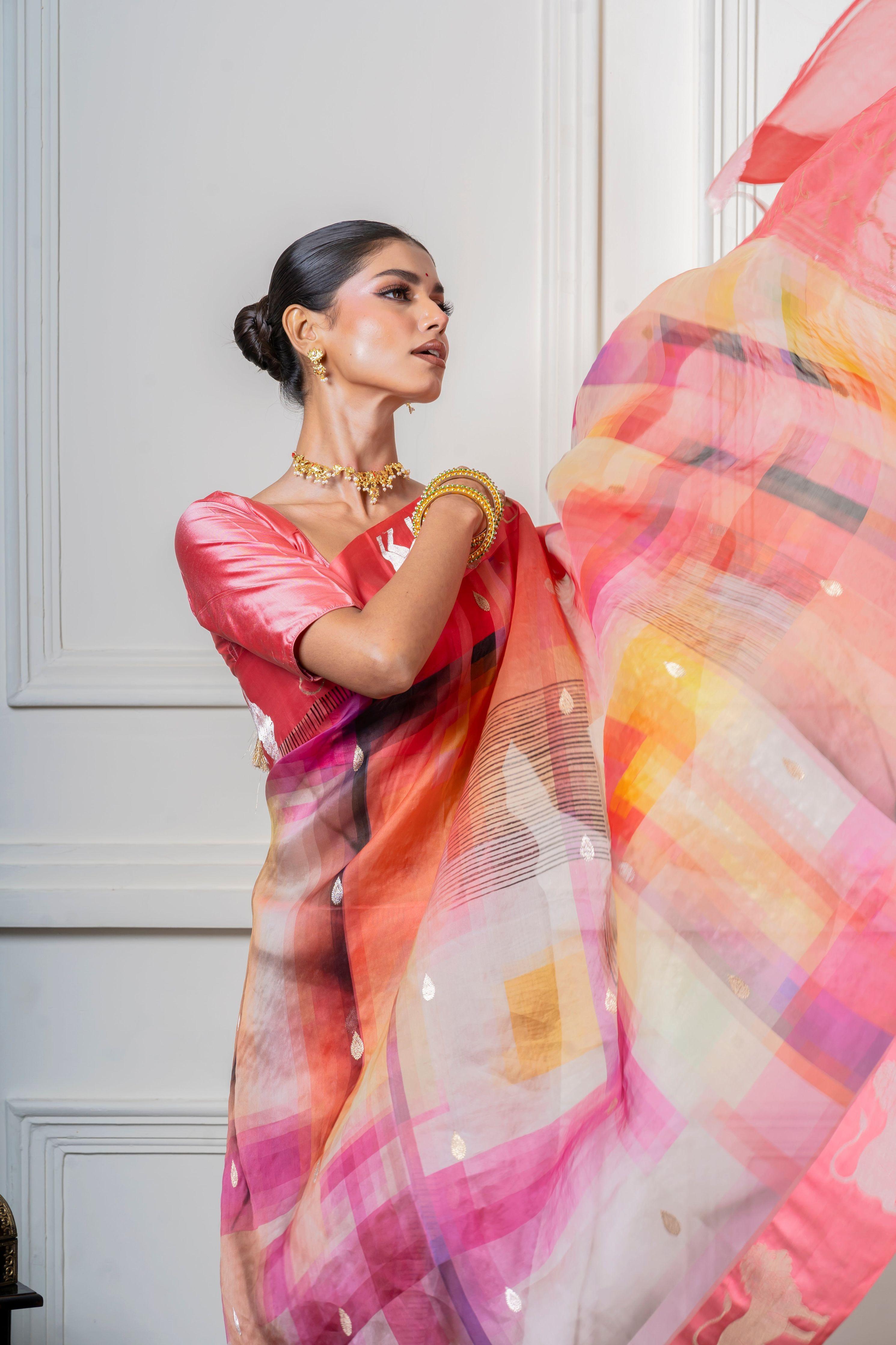 Multicolor Organza Saree with Geometric Print and Animal Motif Mokshaa