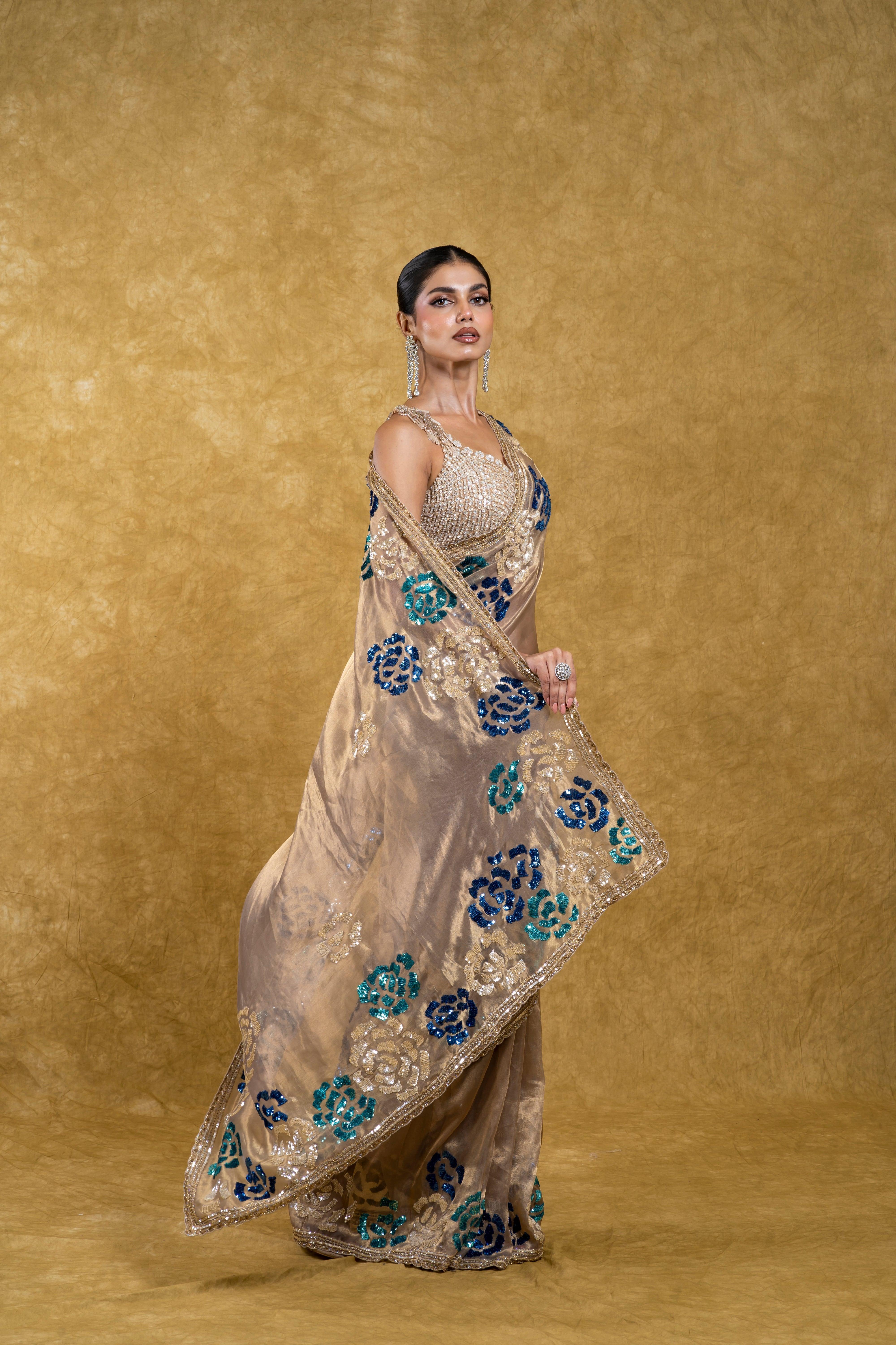 Ash Grey Tissue Organza Saree with Black Beads Embroidery  Mokshaa