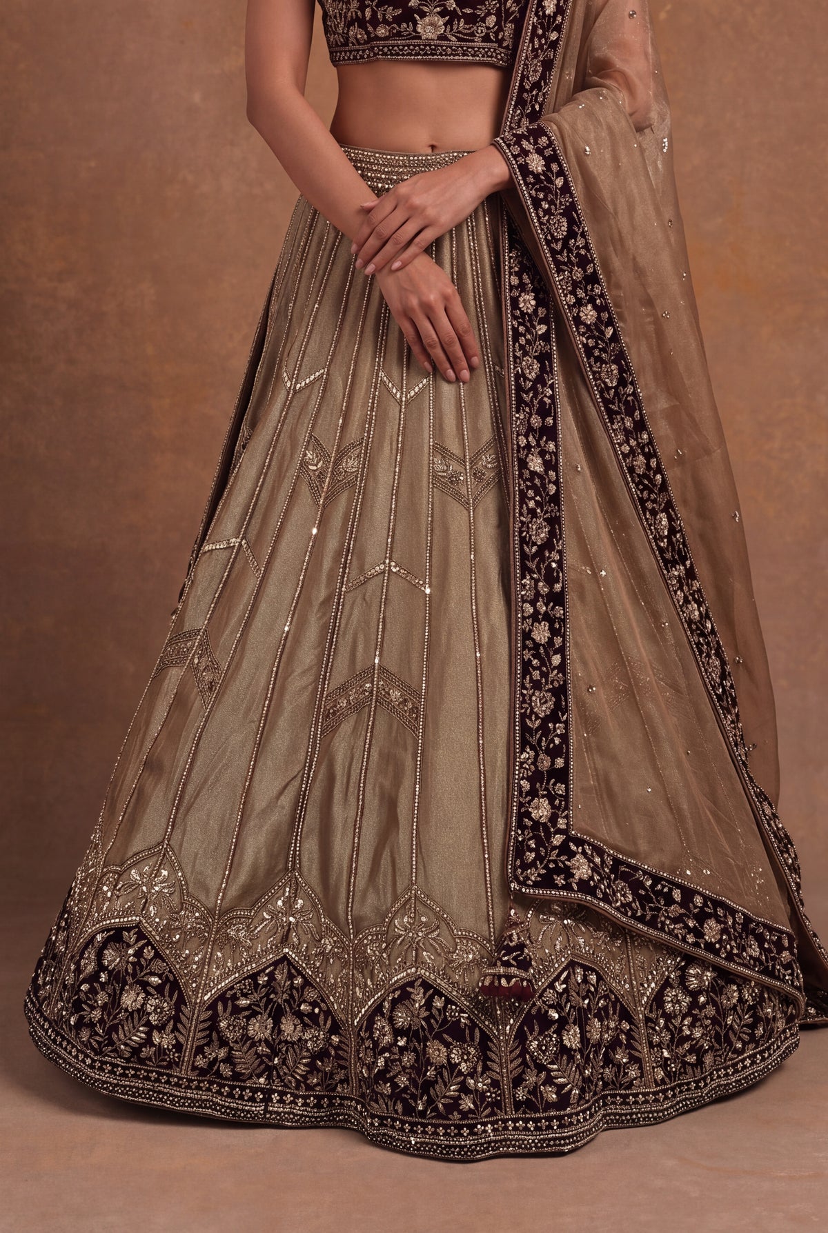 Tissue Lehenga with Maroon Velvet Blouse