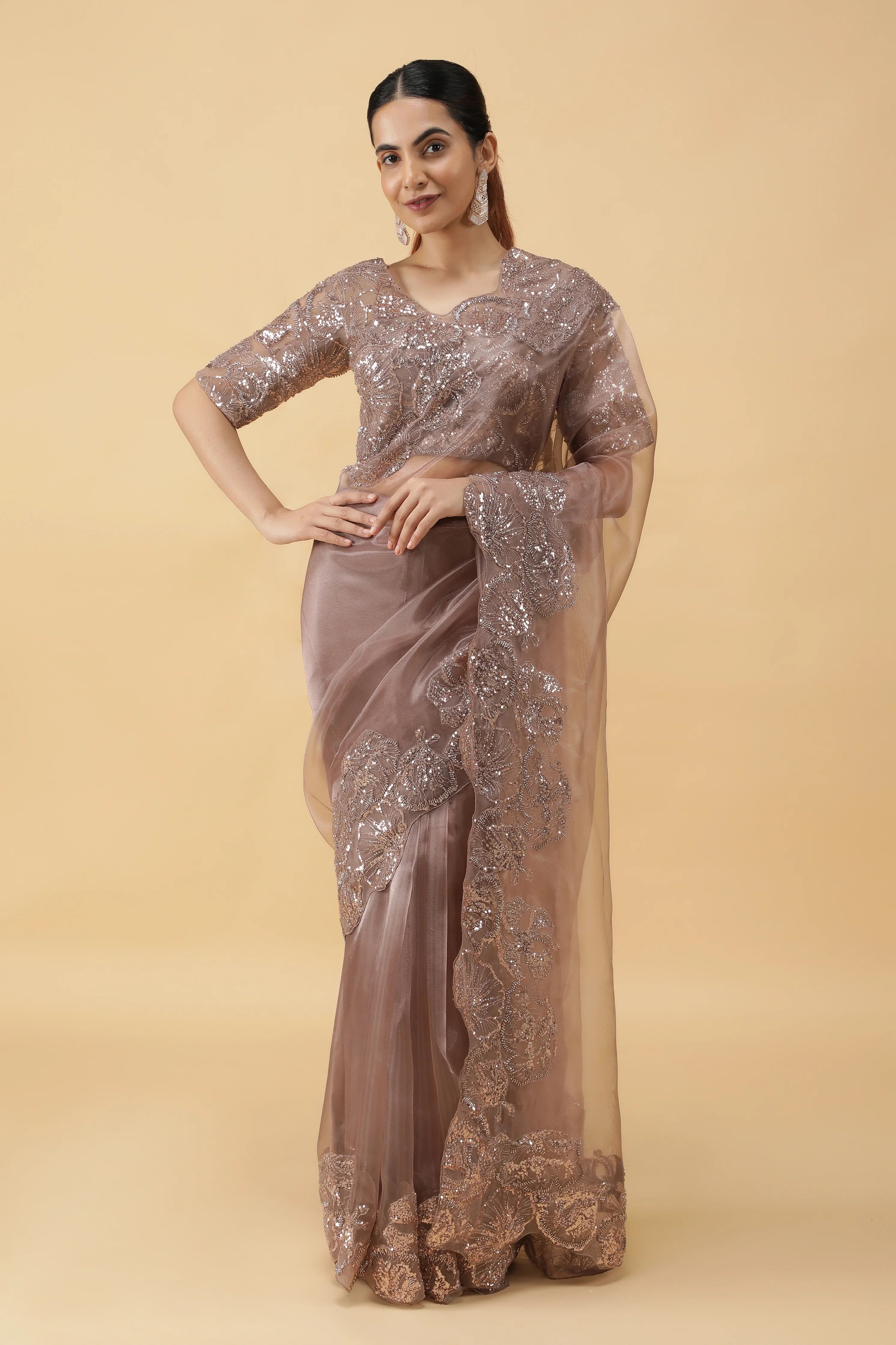 Light Brown Glass Tissue Saree with Sequin Beadwork Border | Mokshaa