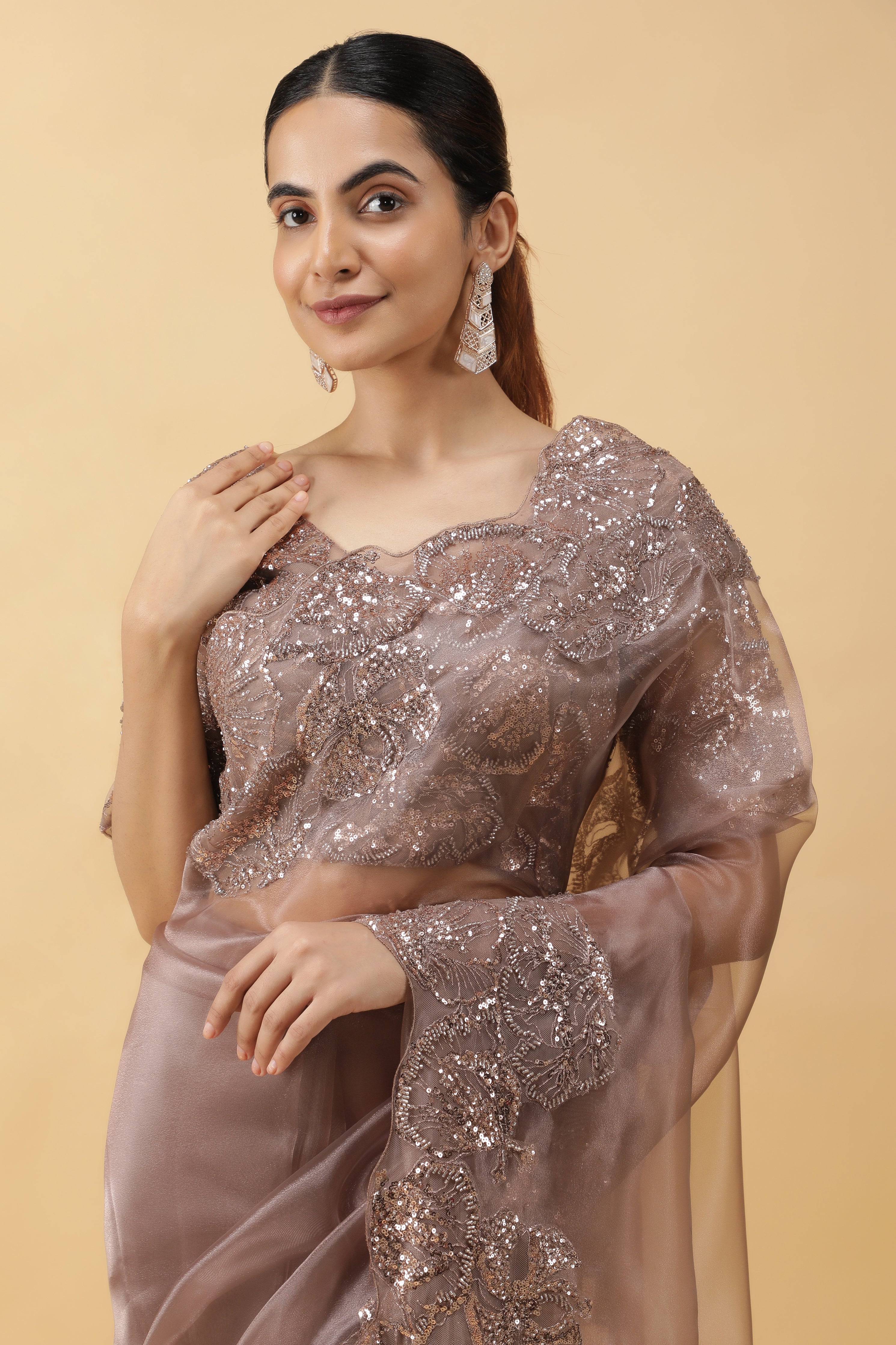 Light Brown Glass Tissue Saree with Sequin Beadwork Border