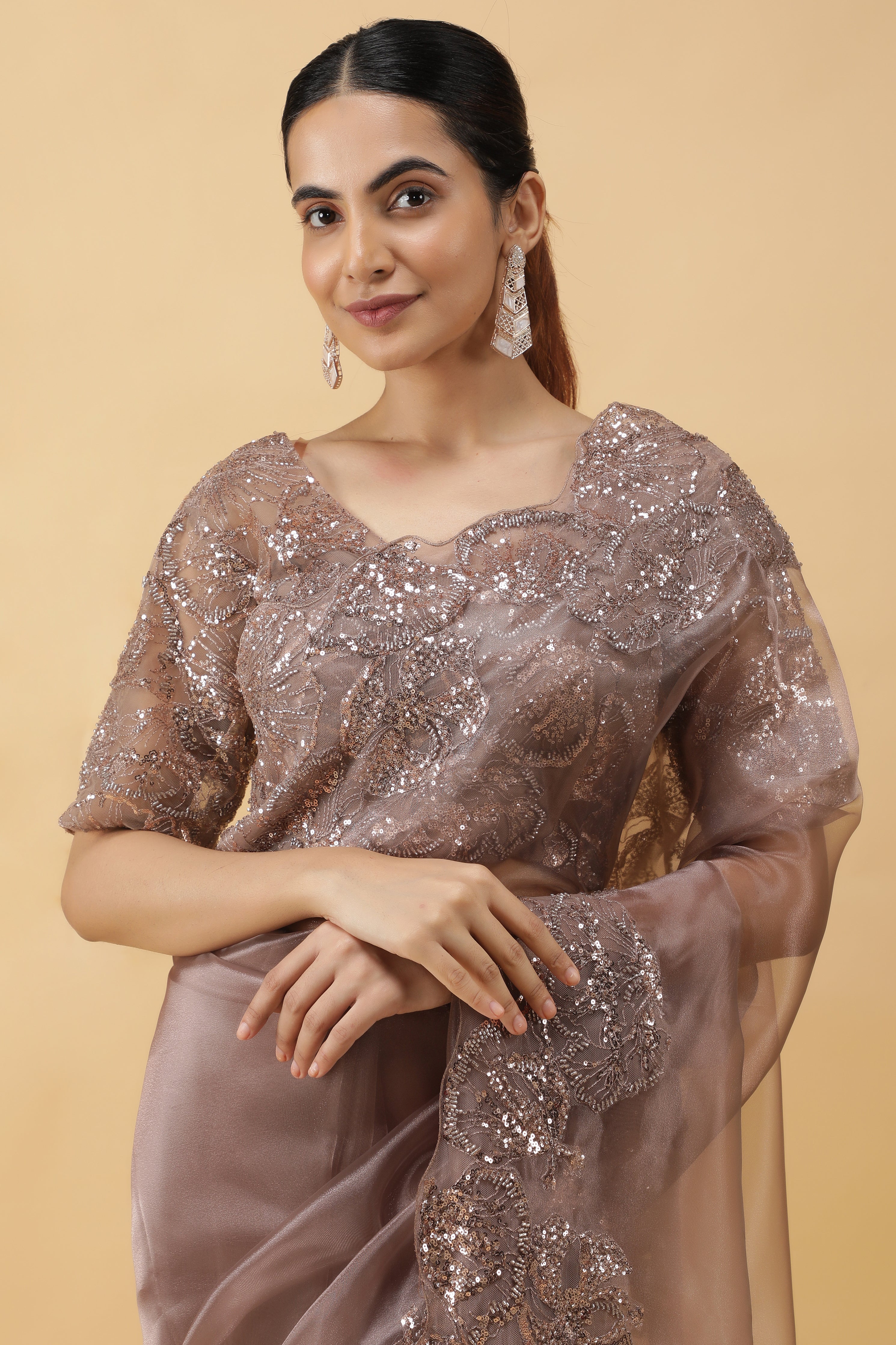 Light Brown Glass Tissue Saree with Sequin Beadwork Border
