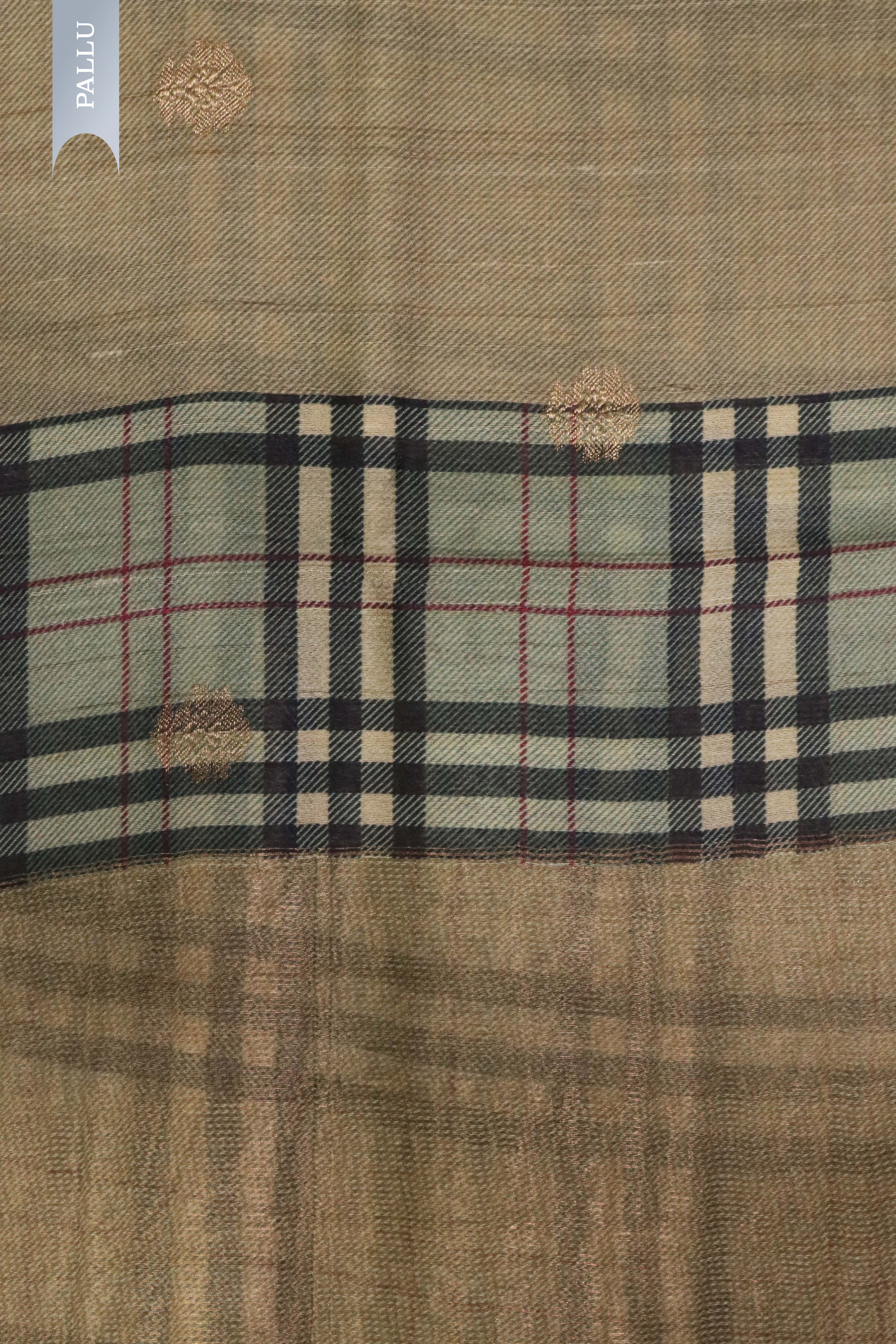 Chikku Tussar Silk Saree with Zari Motifs & Checked Border