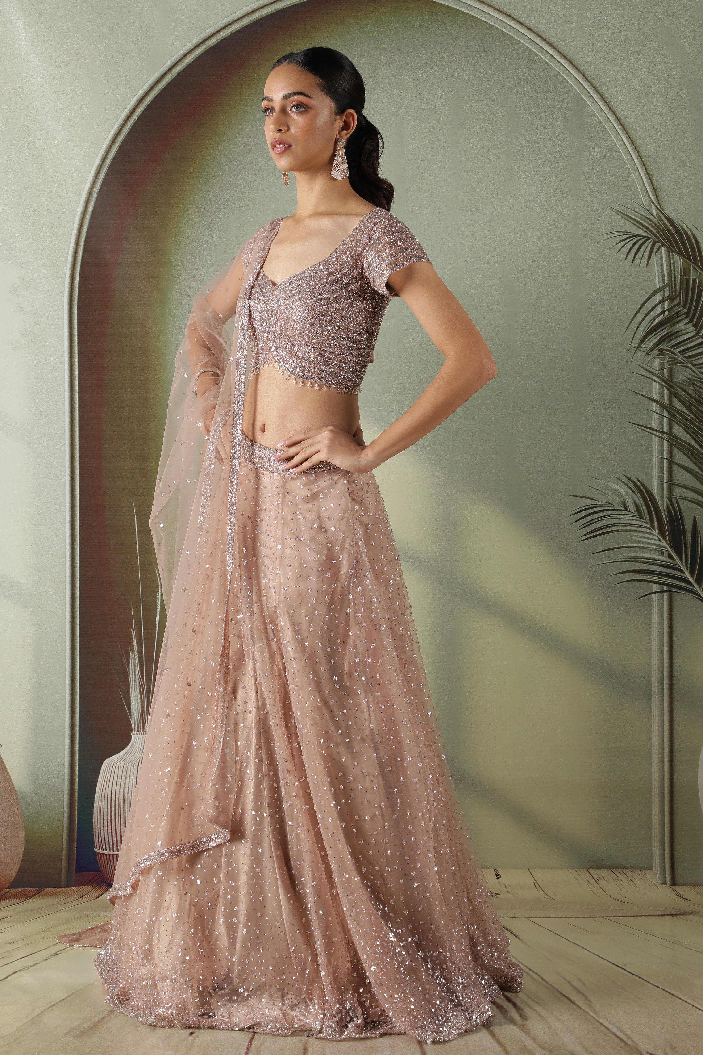 Dusty Mauve Net Lehenga Set