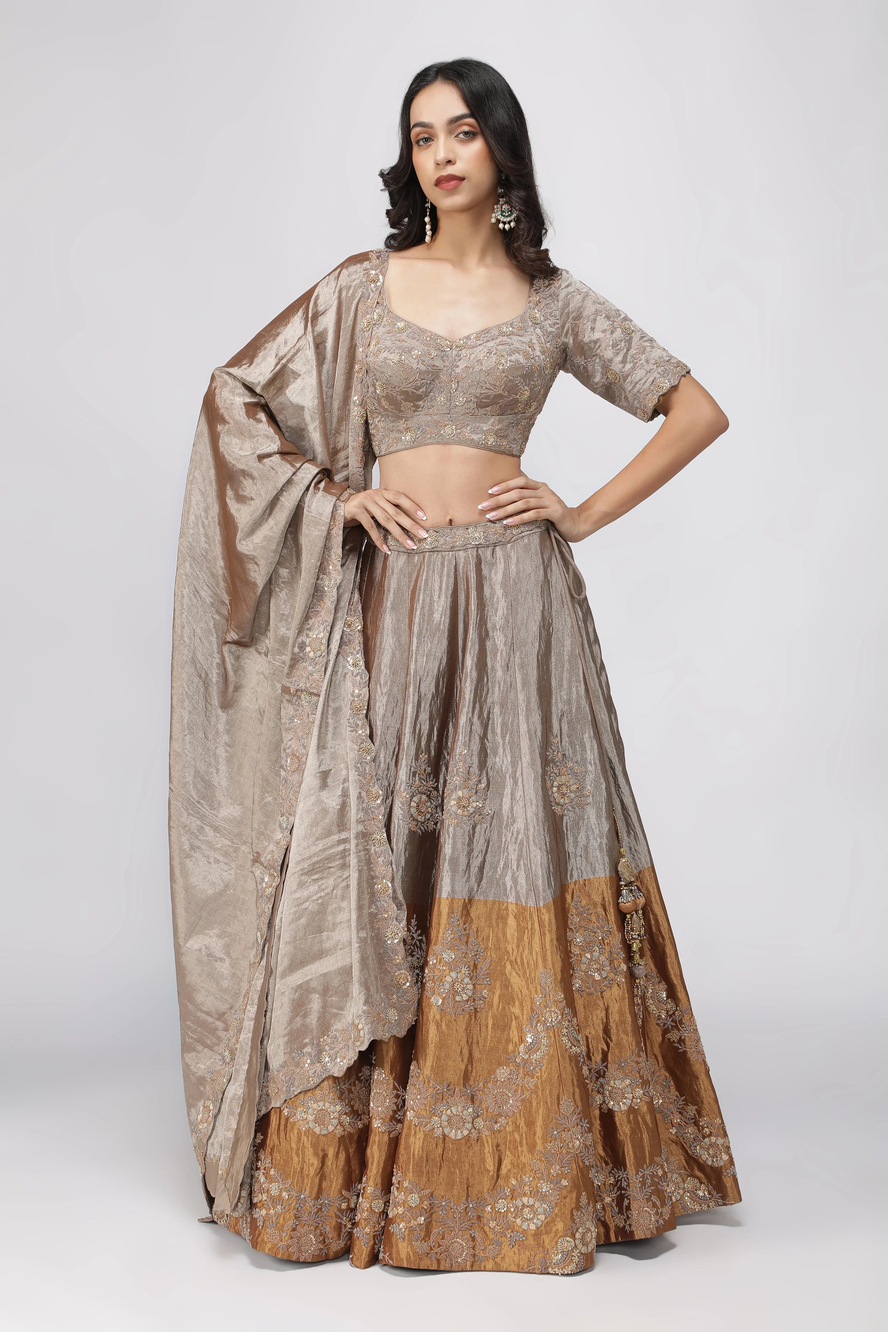 Silver-Gold Tissue Lehenga with Embroidered Blouse - Mokshaa