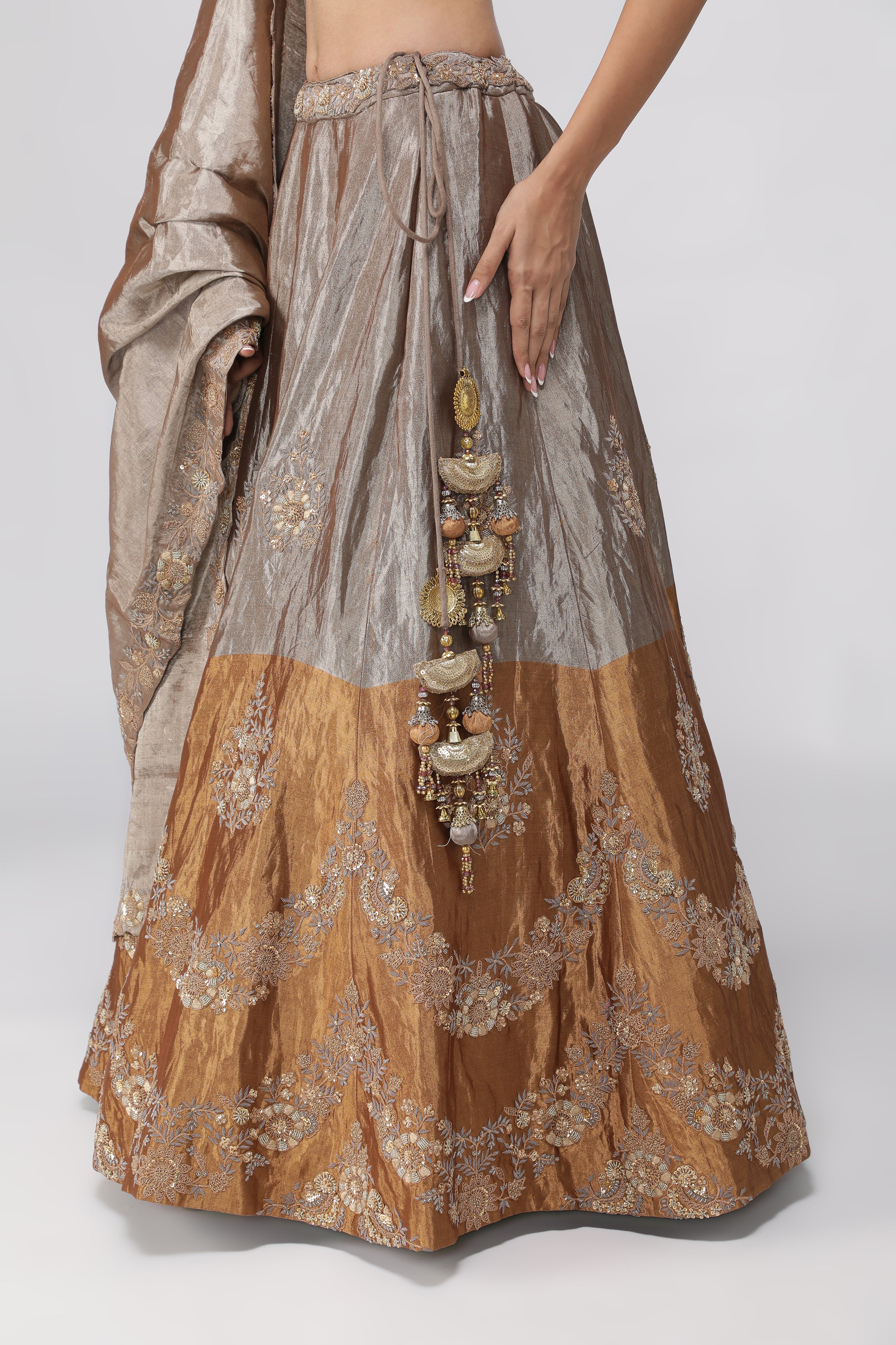 Silver-Gold Tissue Lehenga with Embroidered Blouse
