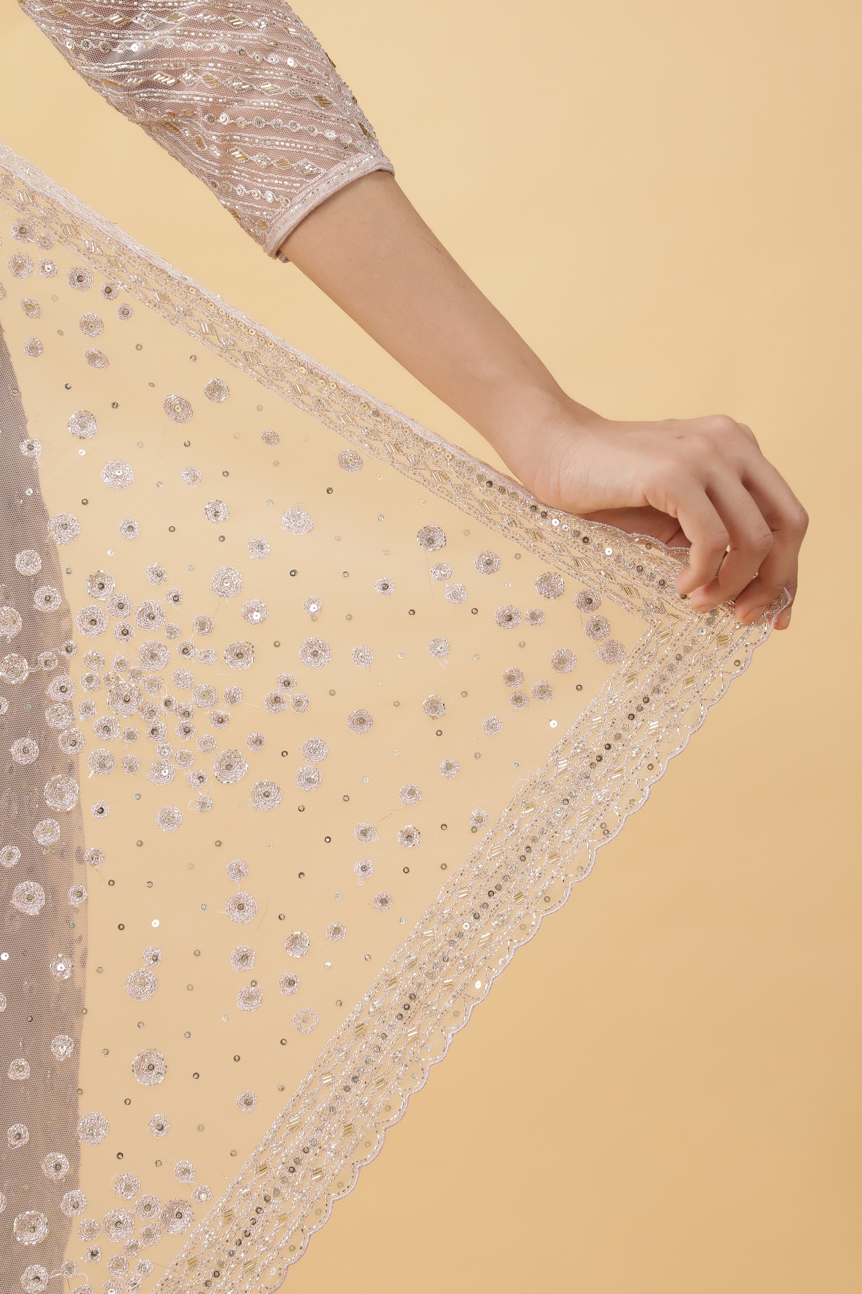 Iver Net Saree with Sequins Embroidery