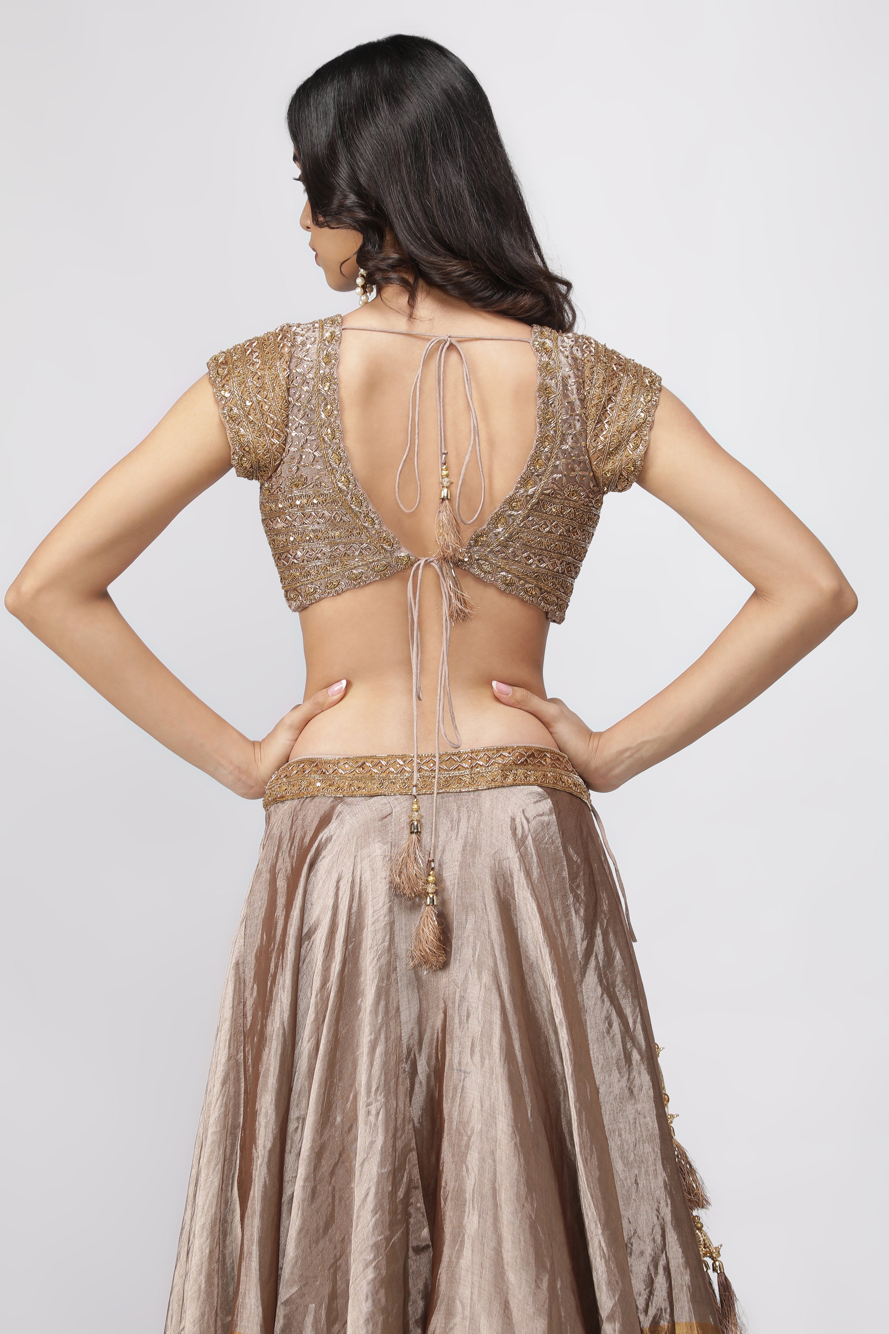 Gold & Silver Tissue Lehenga with Embroidered Blouse
