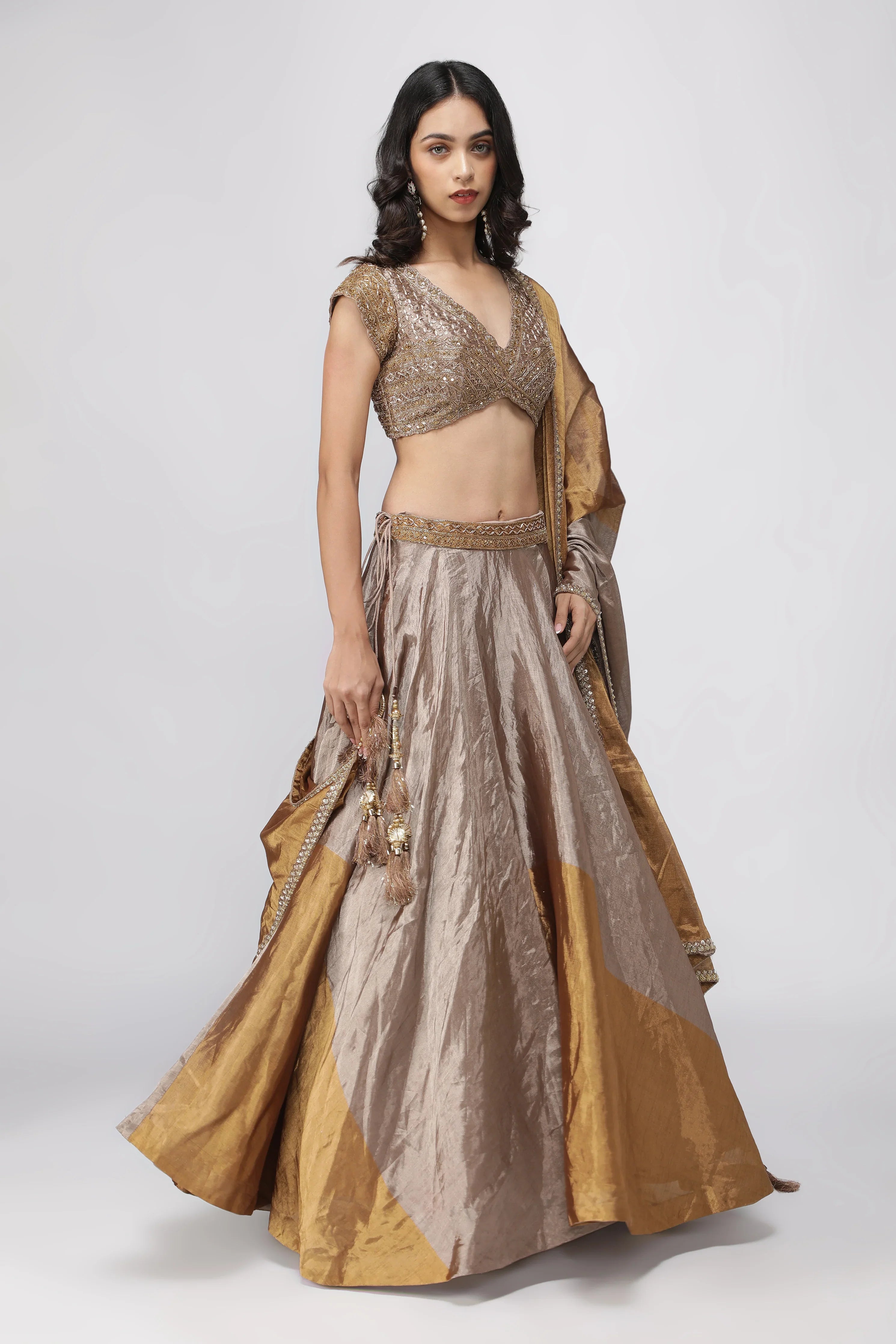 Gold & Silver Tissue Lehenga with Embroidered Blouse | Mokshaa