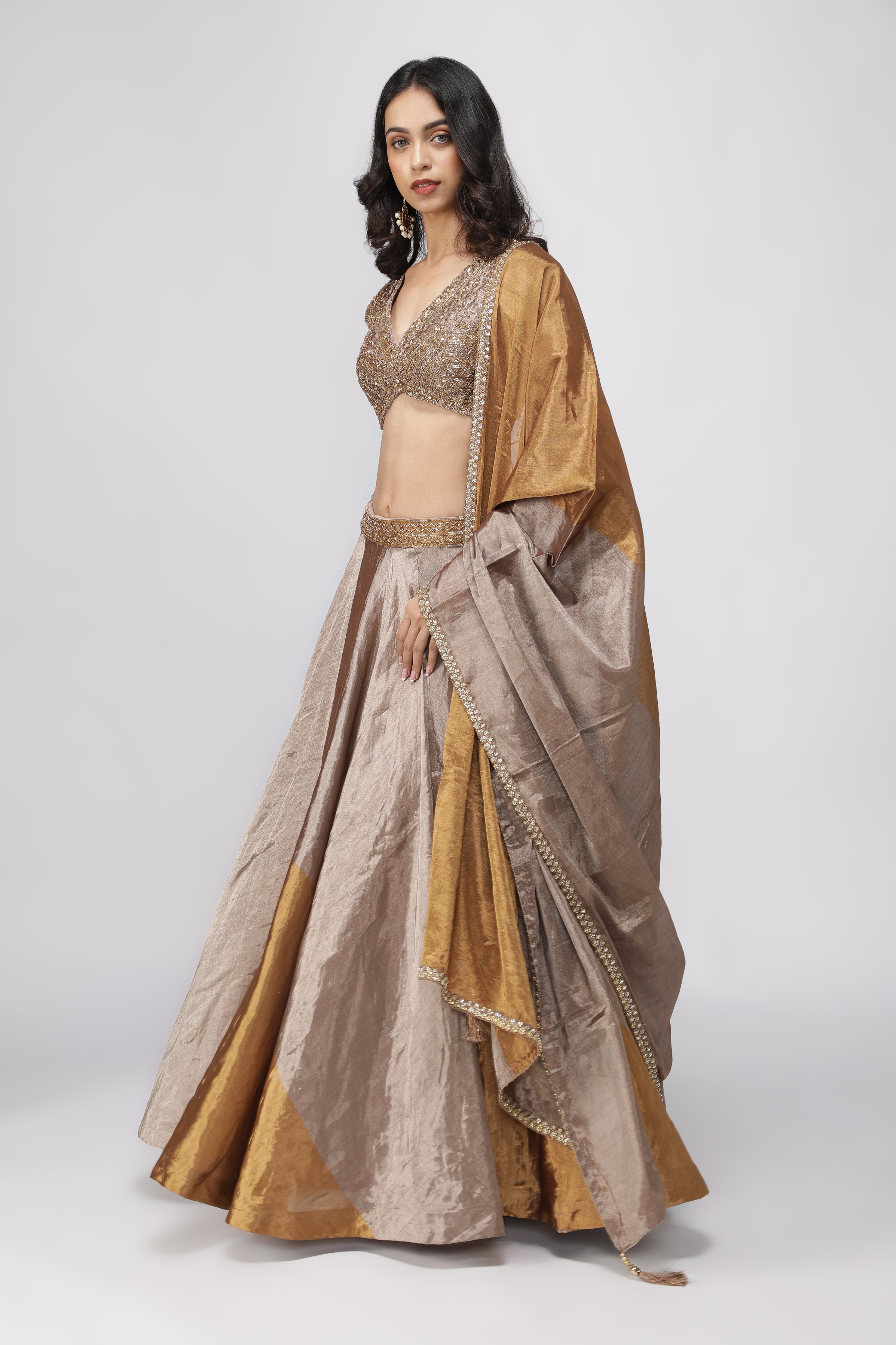Gold & Silver Tissue Lehenga with Embroidered Blouse