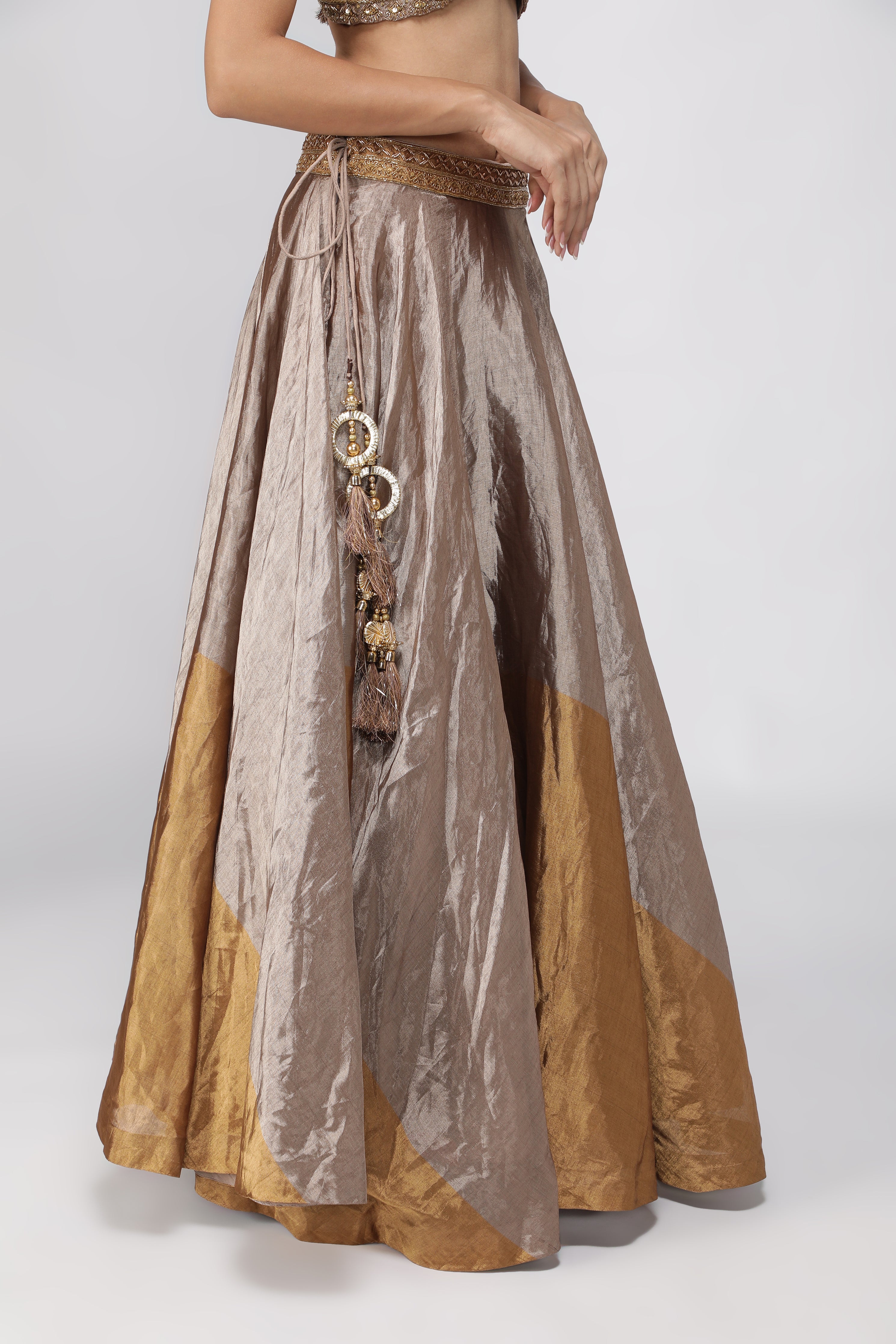 Gold & Silver Tissue Lehenga with Embroidered Blouse