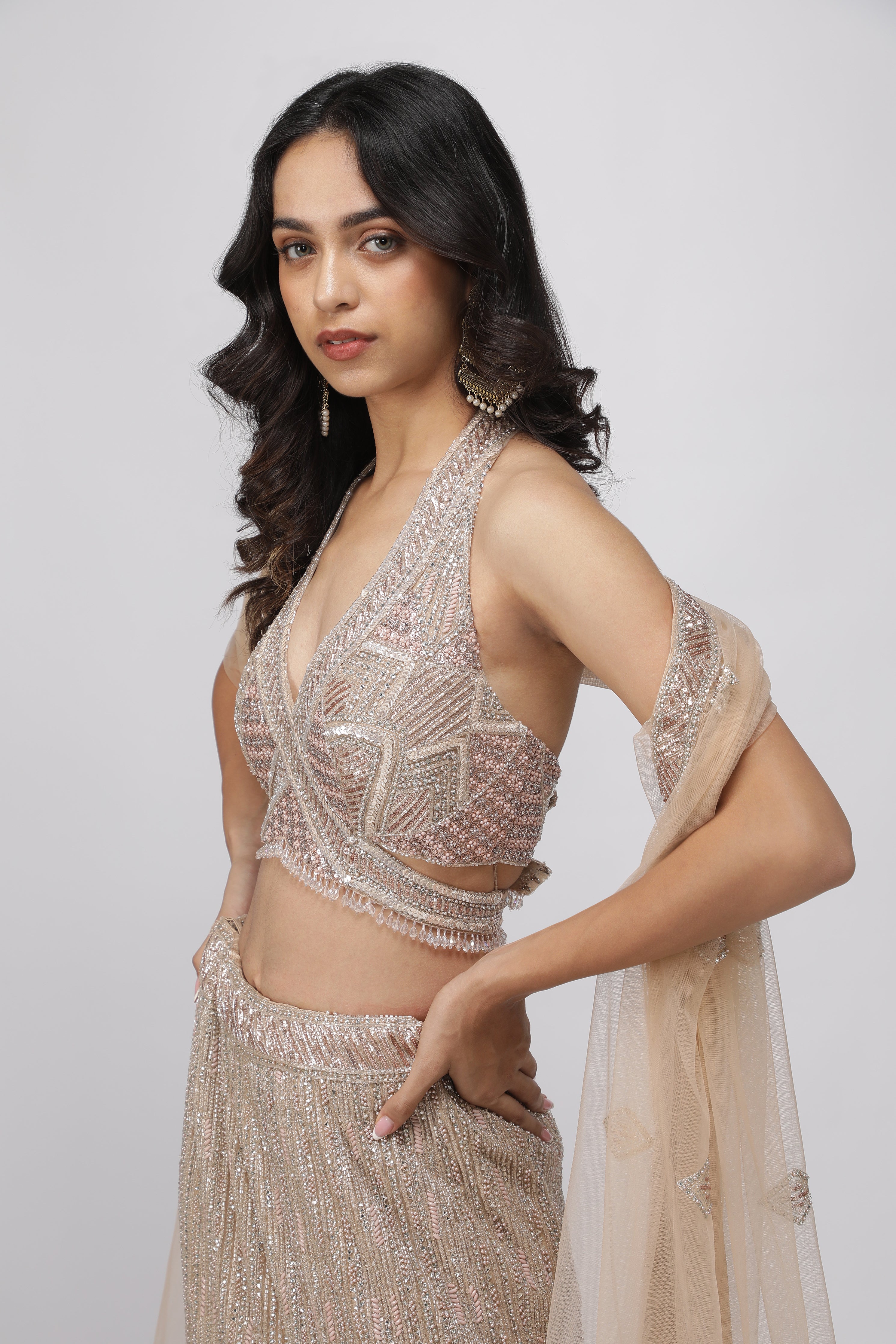 Champagne Net Mermaid Cut Lehenga set