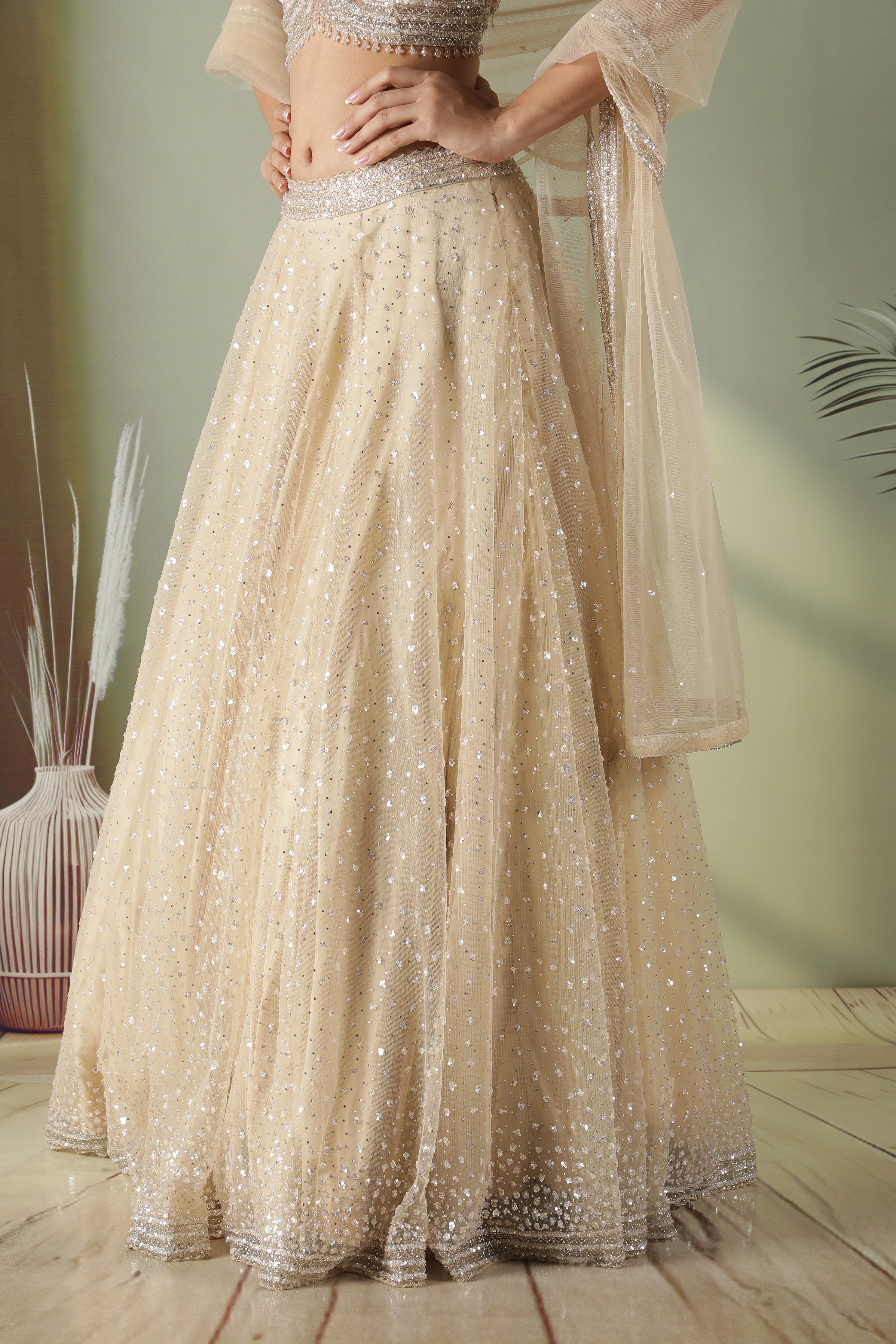 Champagne Gold Net Lehenga Set