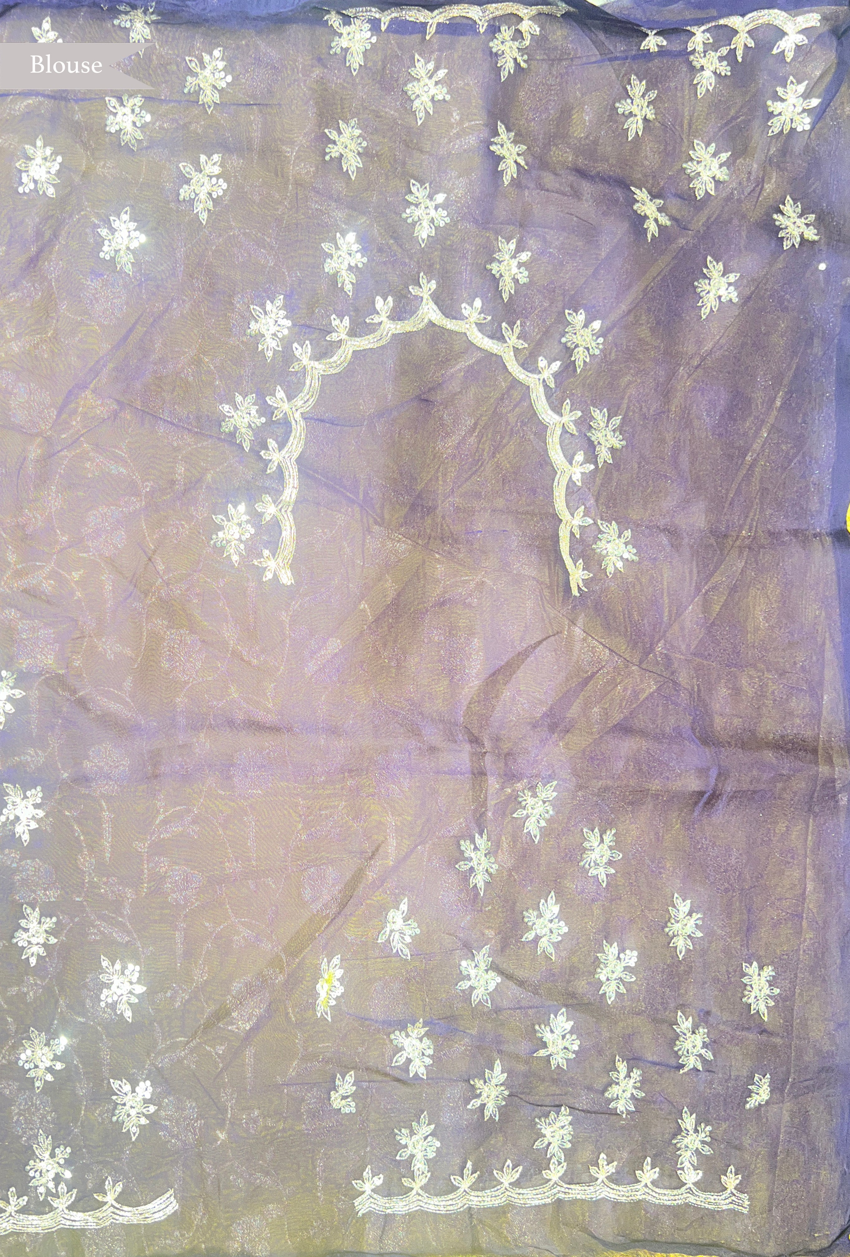 Dark Purple Organza Saree with Appliqué & Pita Zari Work