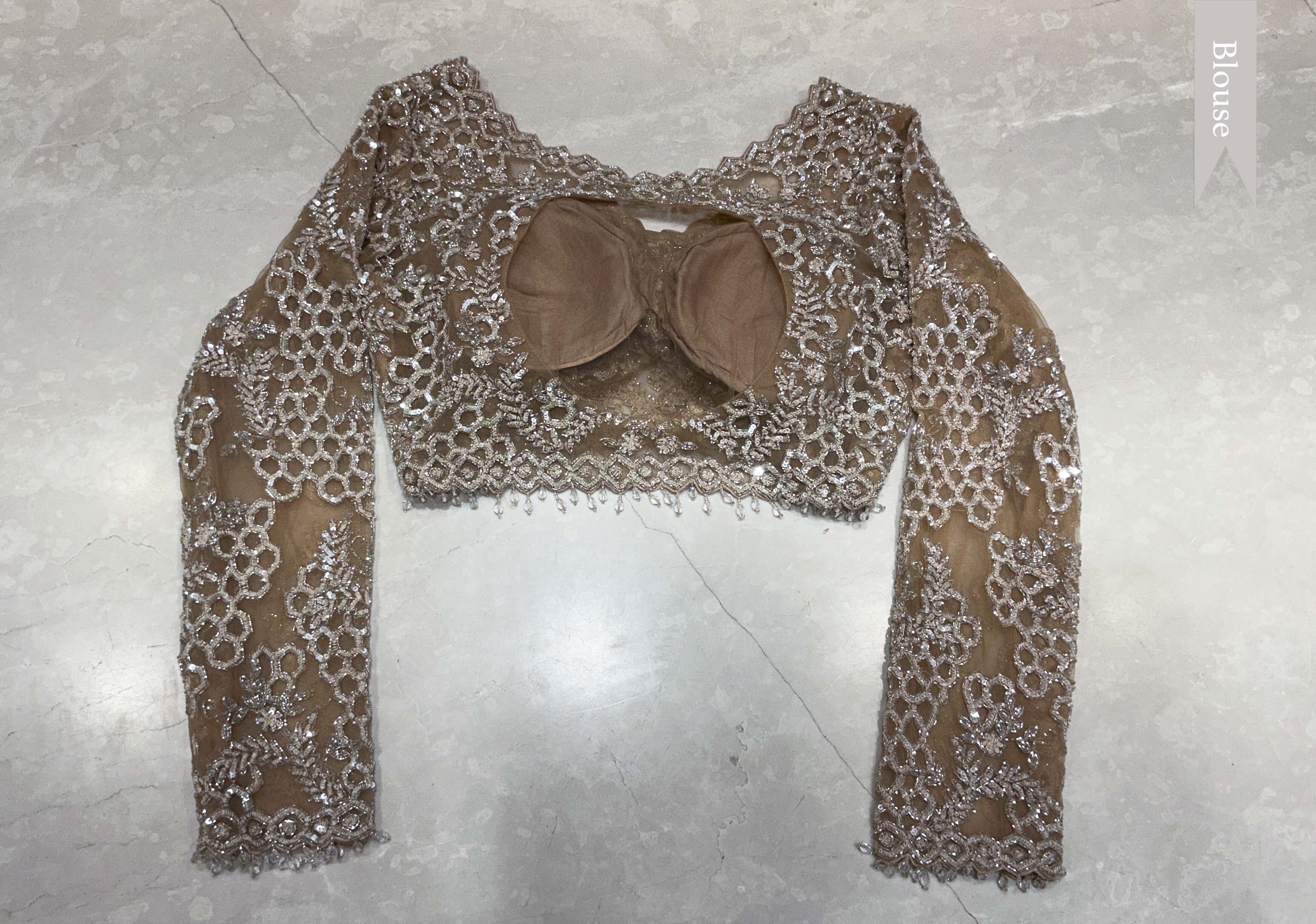 Champagne Beige Net Designer Saree