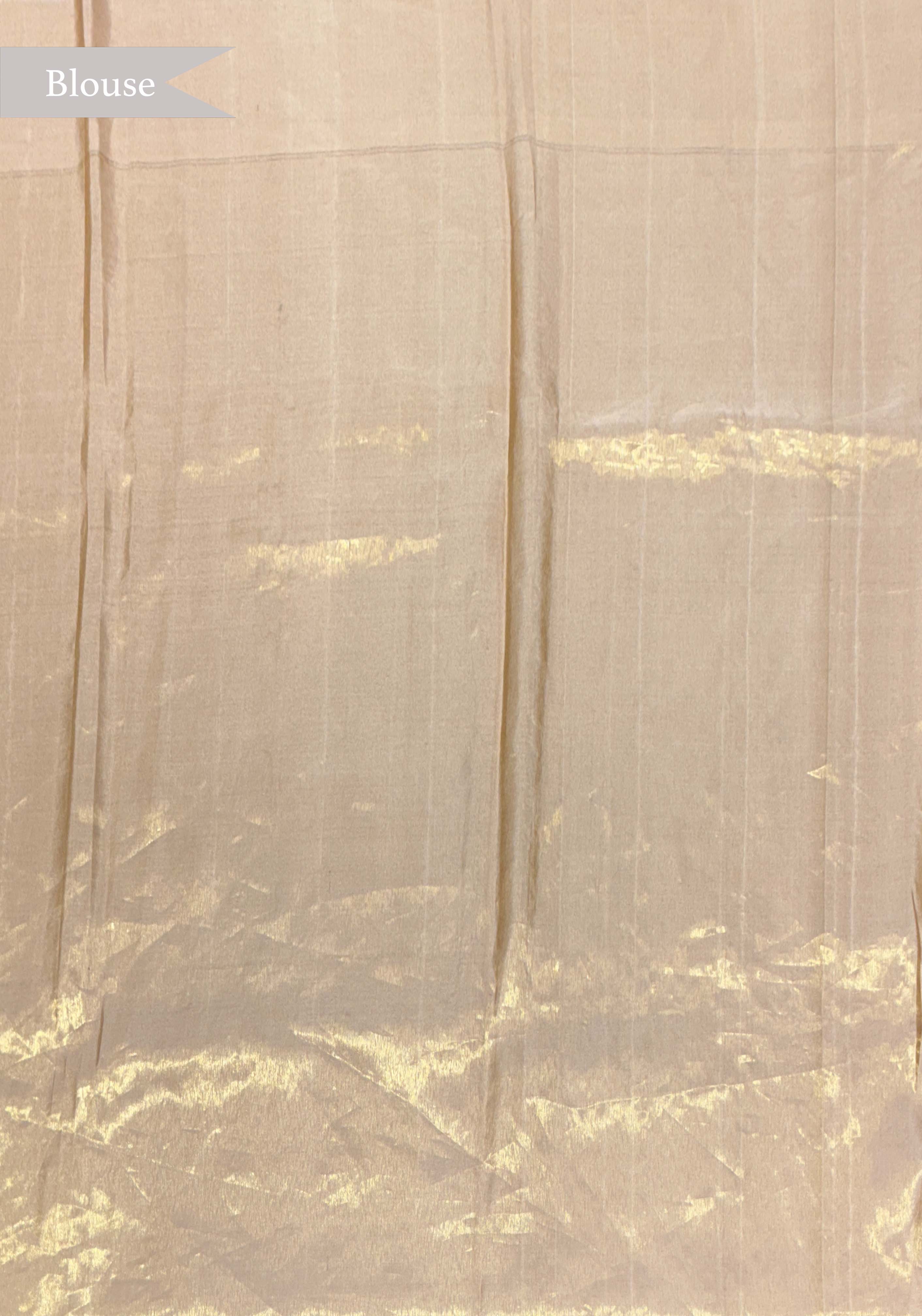 Pista Tissue Kanchivaram Silk Saree with Multicolour Motifs