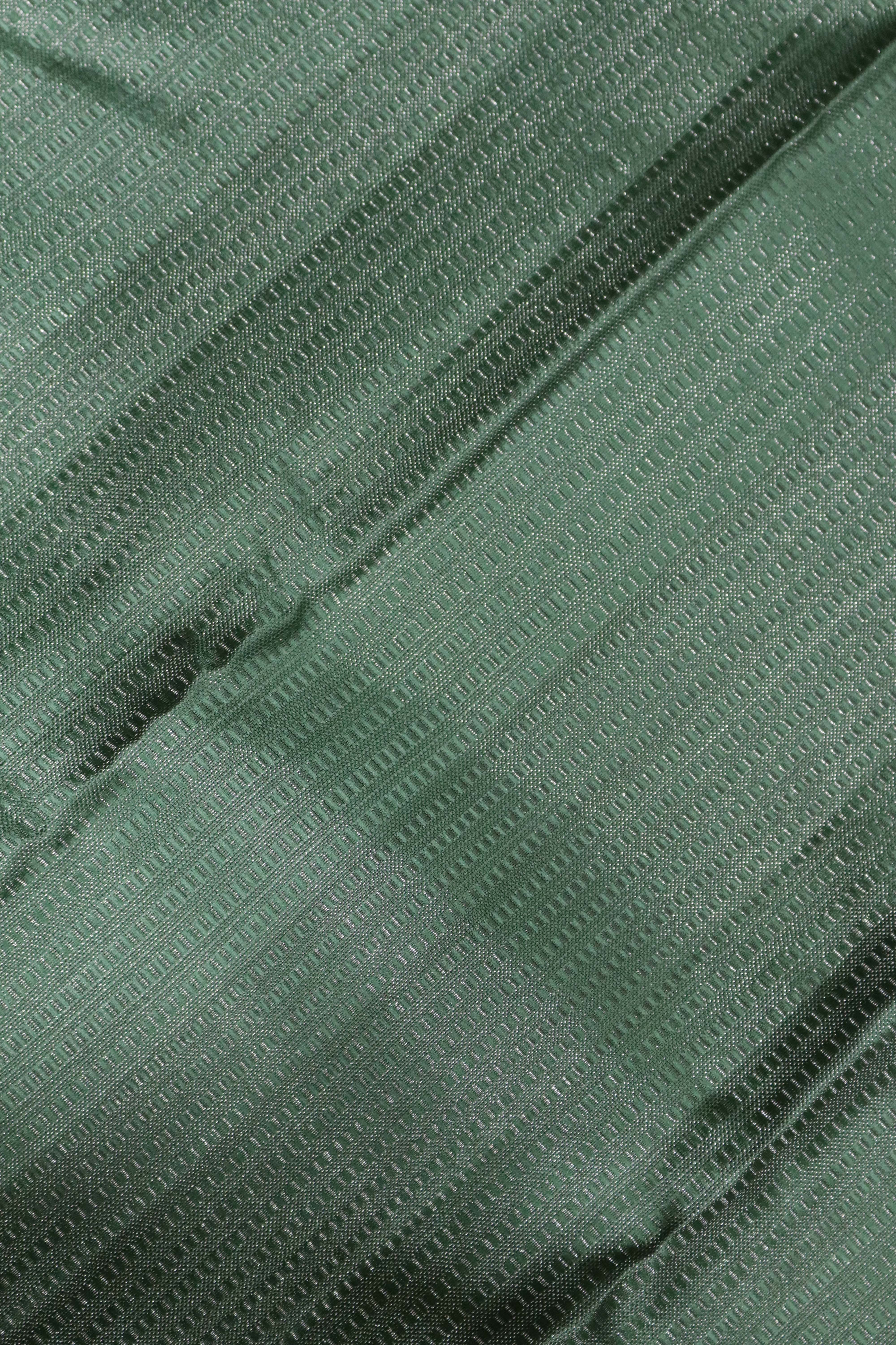 Aqua Green Kanchipuram Silk Saree