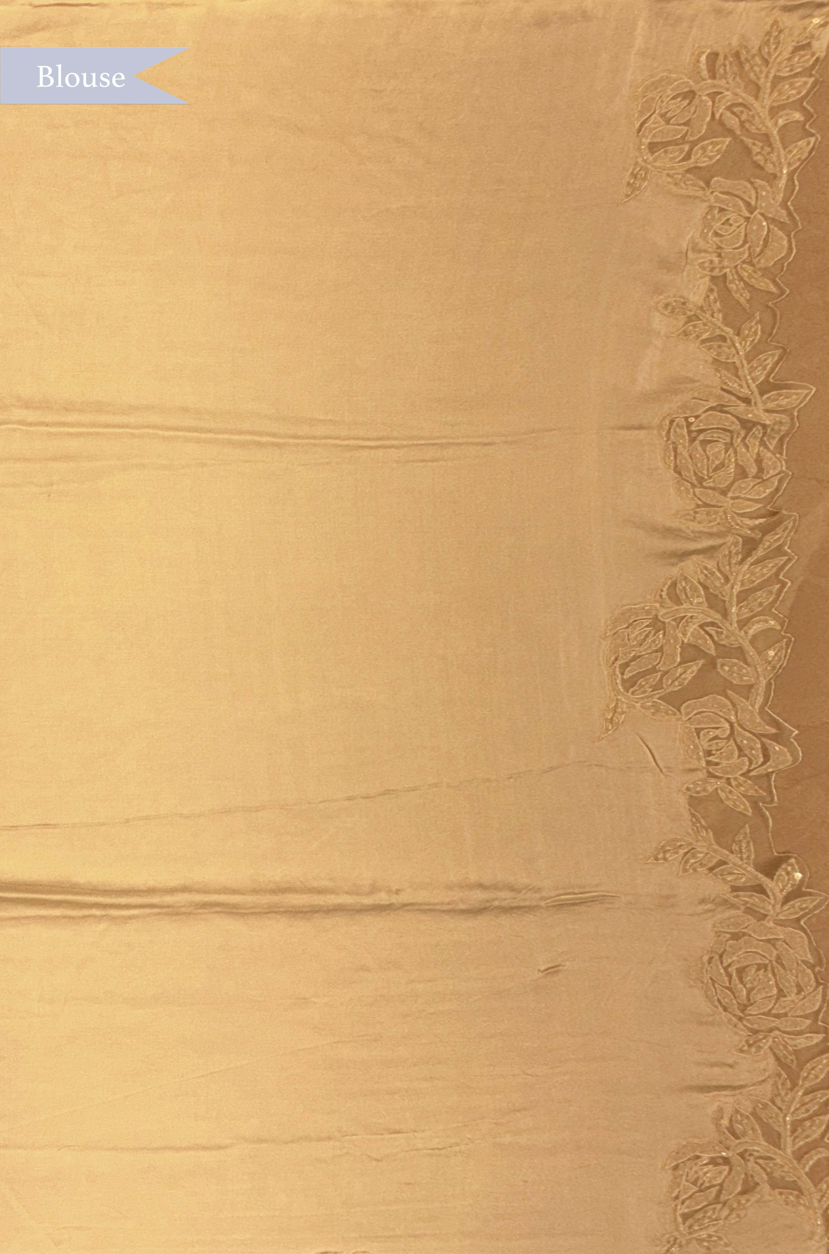 Off-White Lace Saree with Appliqué Work
