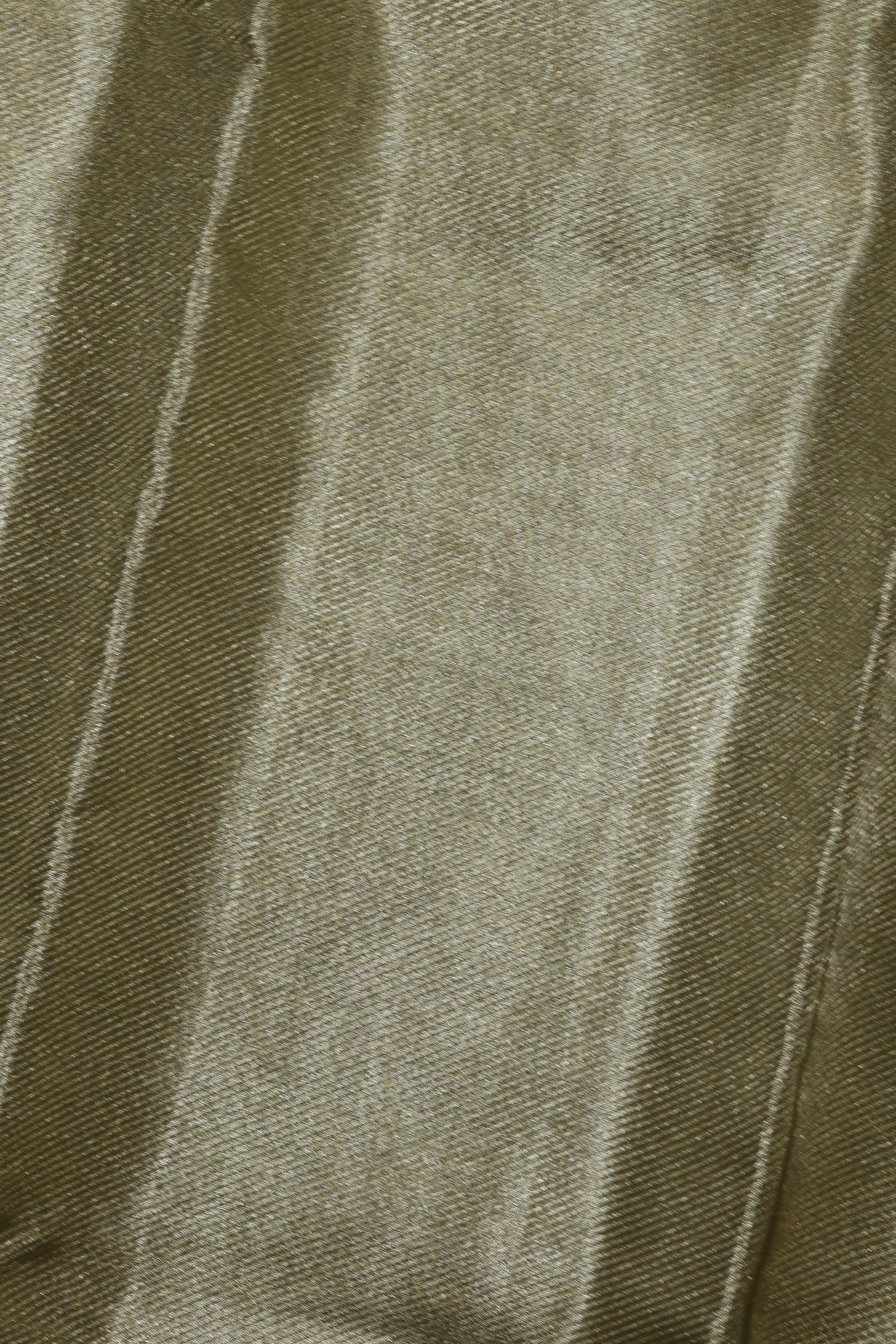 Silver Tissue Kanchivaram Silk Saree