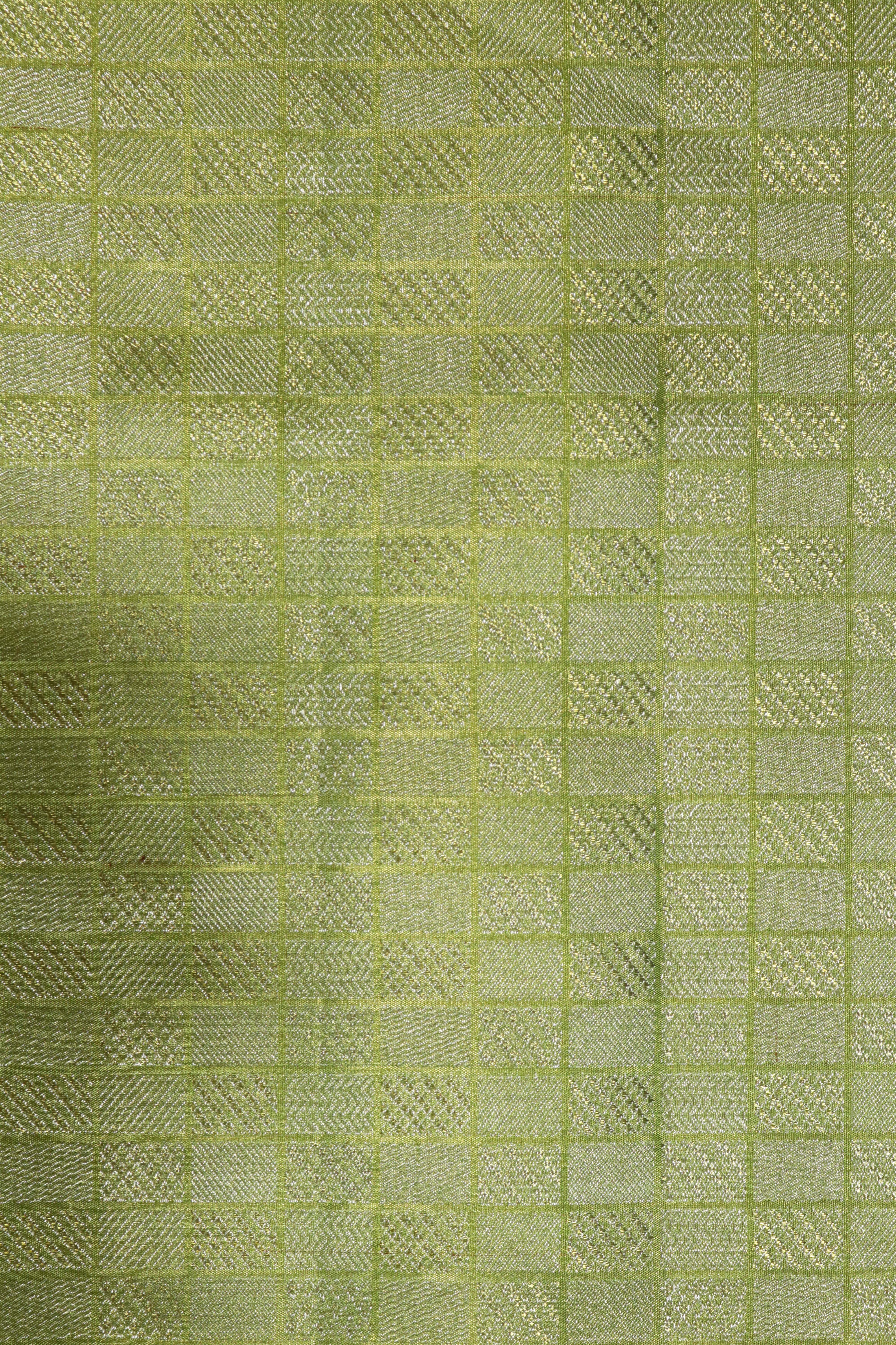 Light Green Kanchivaram Tissue Silk Saree