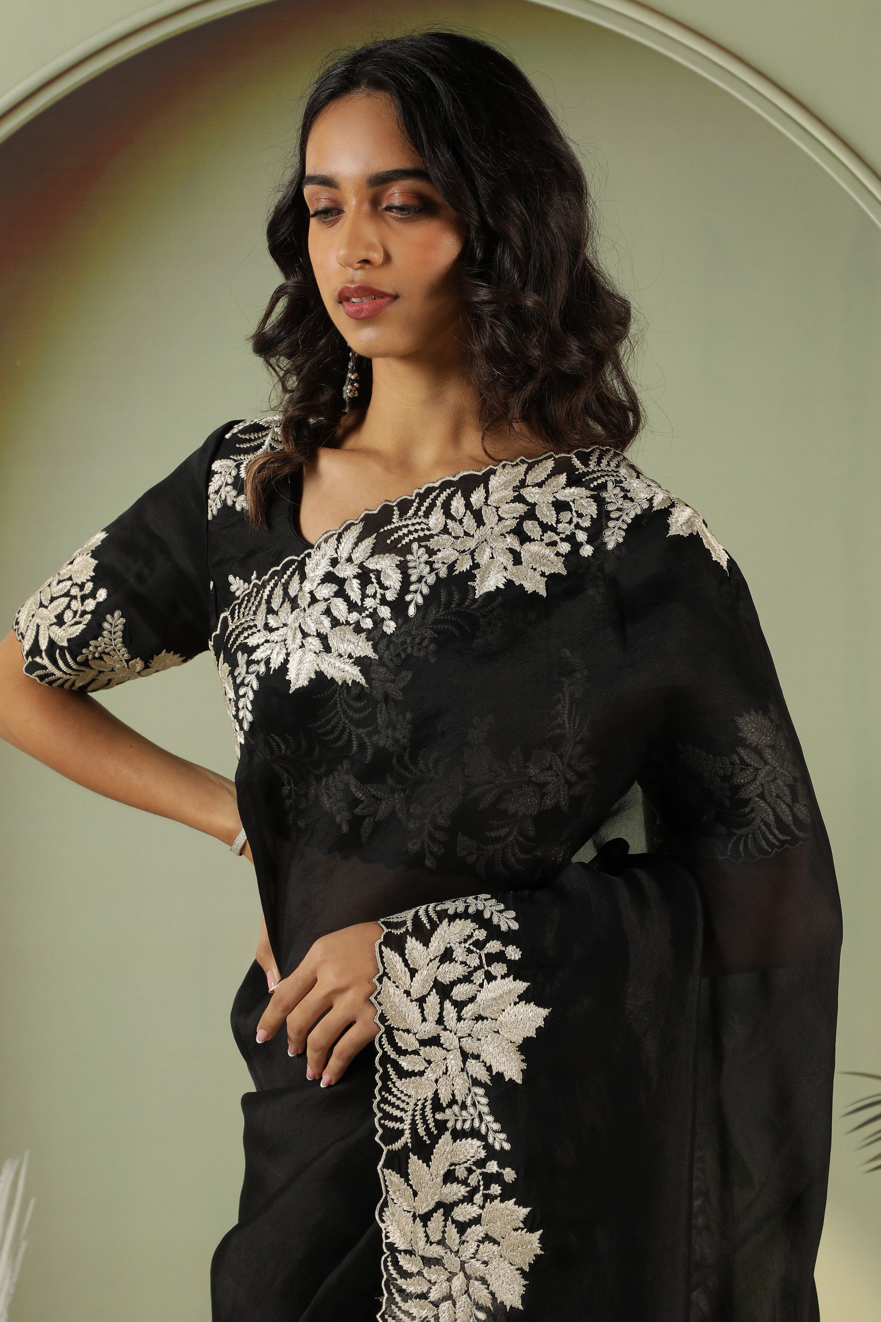 Black Organza Saree with Embroidery Border