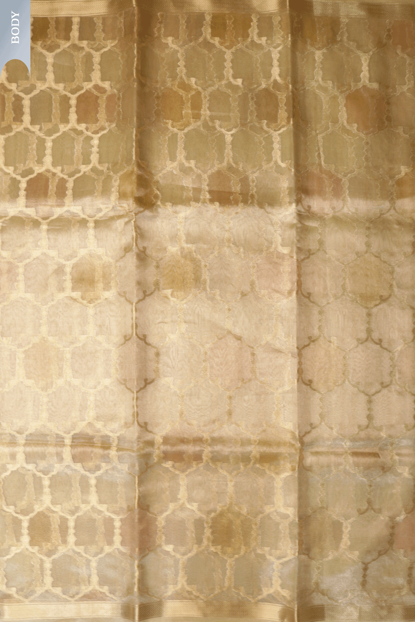Champagne Gold Tissue Kora Banarasi Saree with Trellis Motifs  Mokshaa