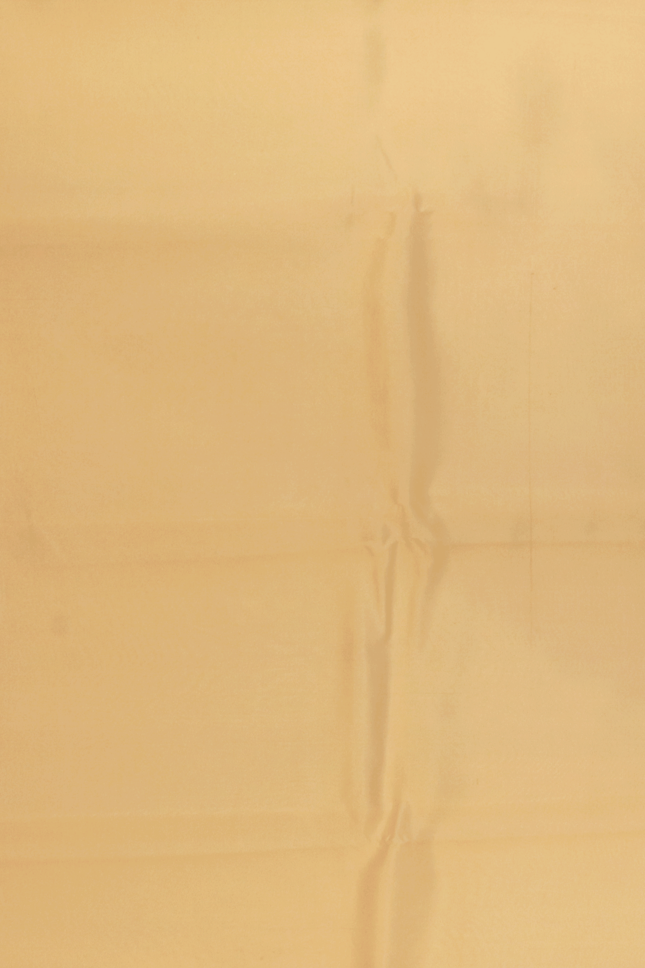 Off White Kanchipuram Silk Saree With Hand-Painted Floral Borders  Mokshaa