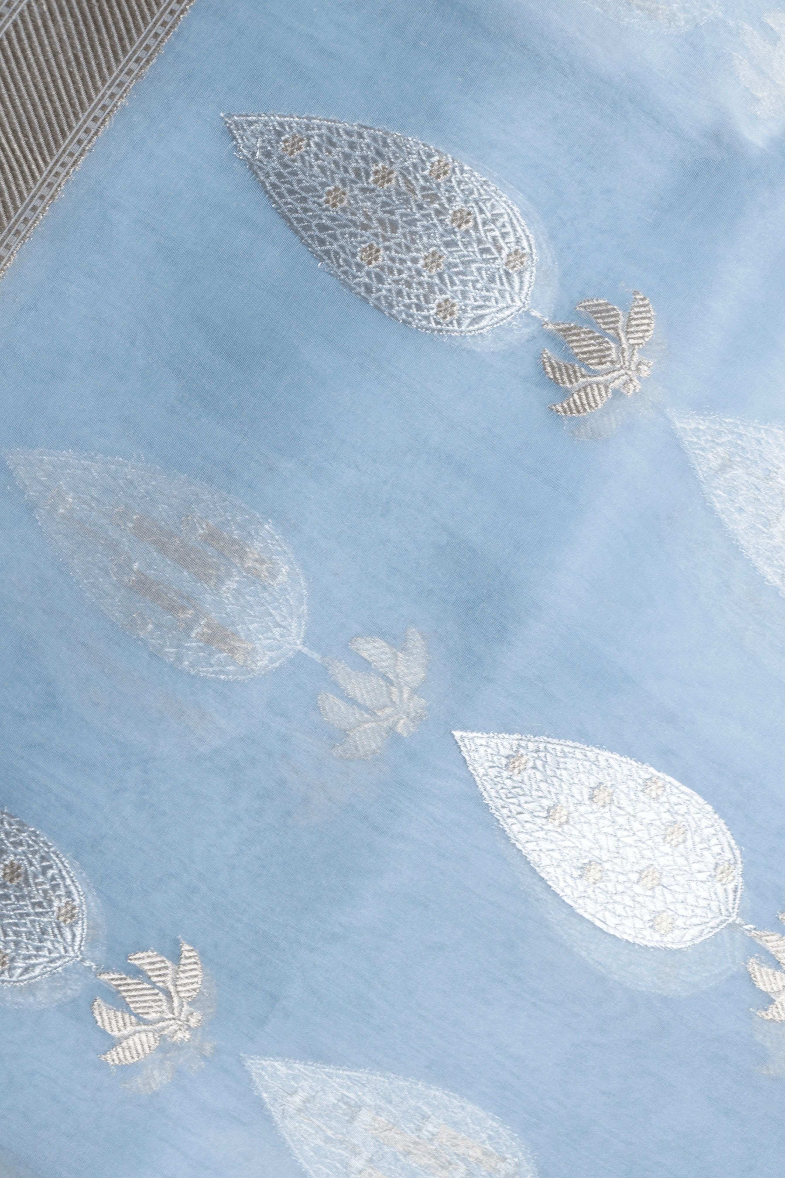 Sky Blue Tissue Organza Saree with Silver Motifs  Mokshaa