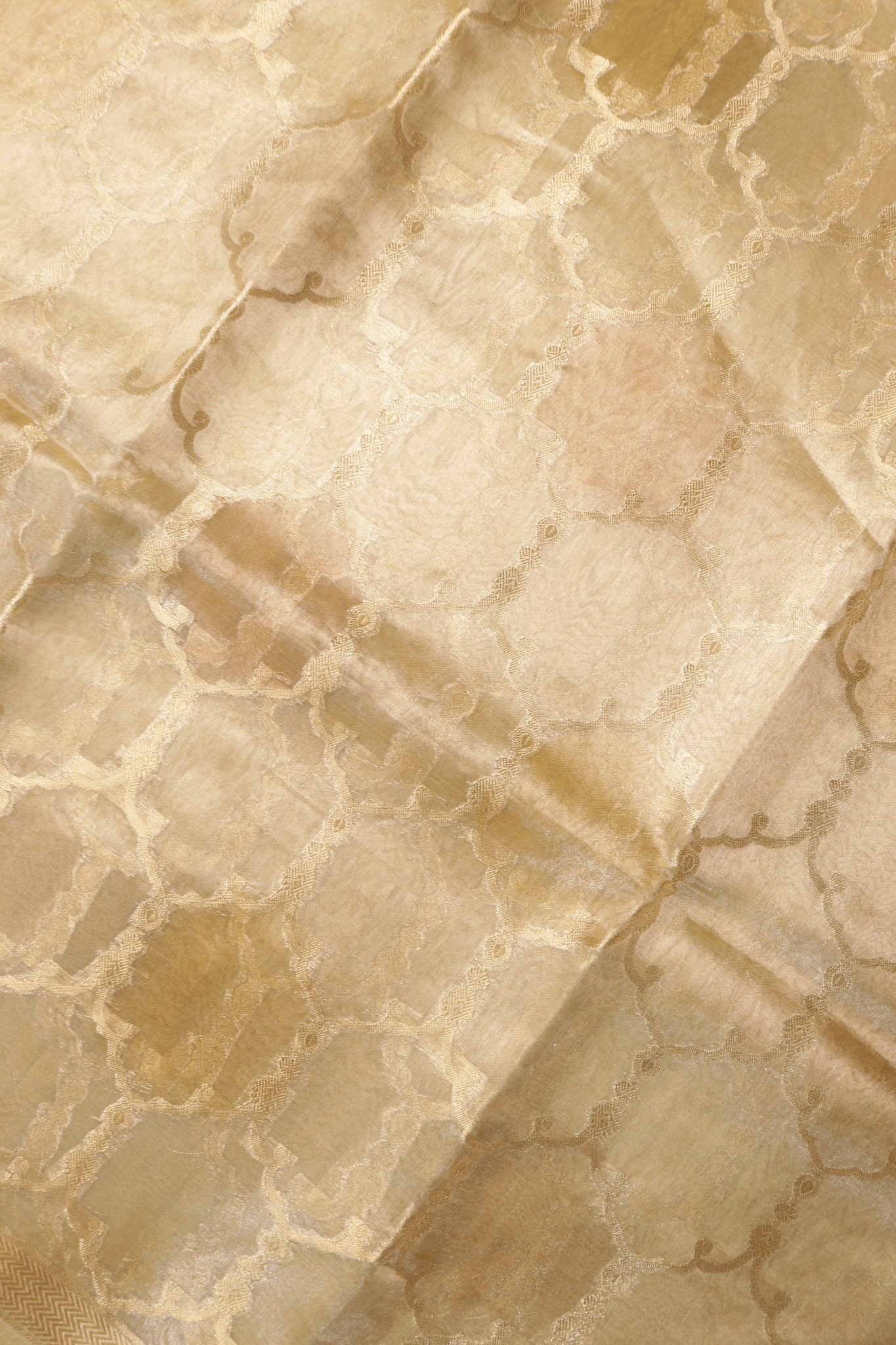 Champagne Gold Tissue Kora Banarasi Saree with Trellis Motifs  Mokshaa