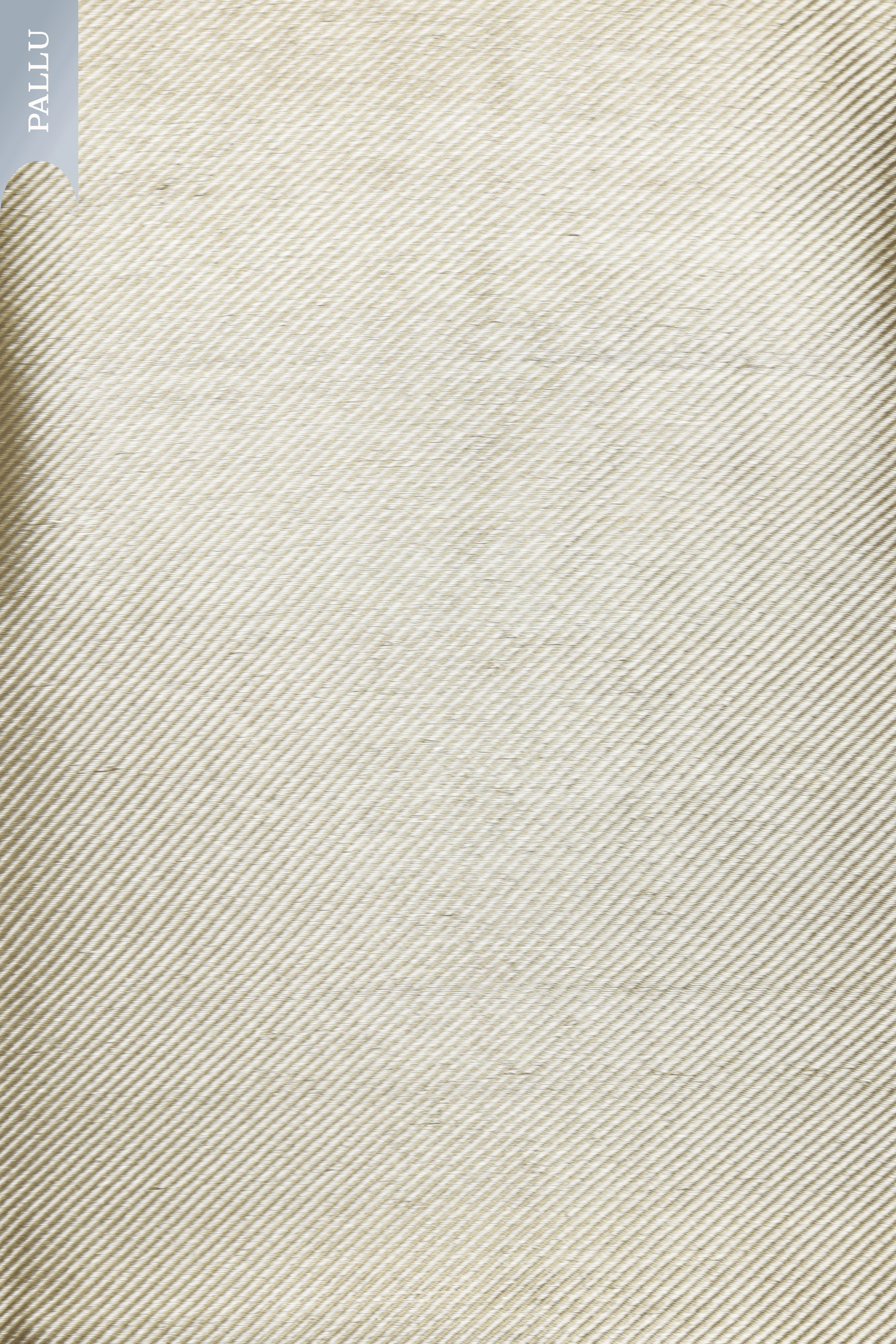 Sea Green Banarasi Tissue Silk Saree with Floral Pot Motifs  Mokshaa