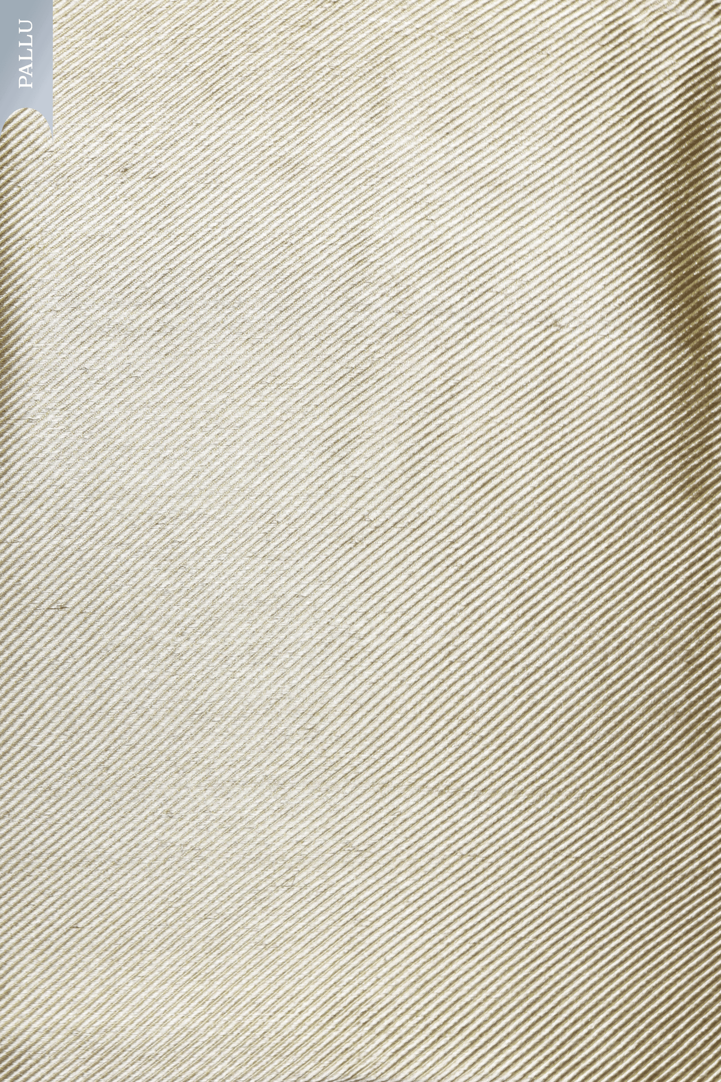 Olive Green Tissue Kora Saree with Cream Zari Border & Pink Leaf Motifs  Mokshaa