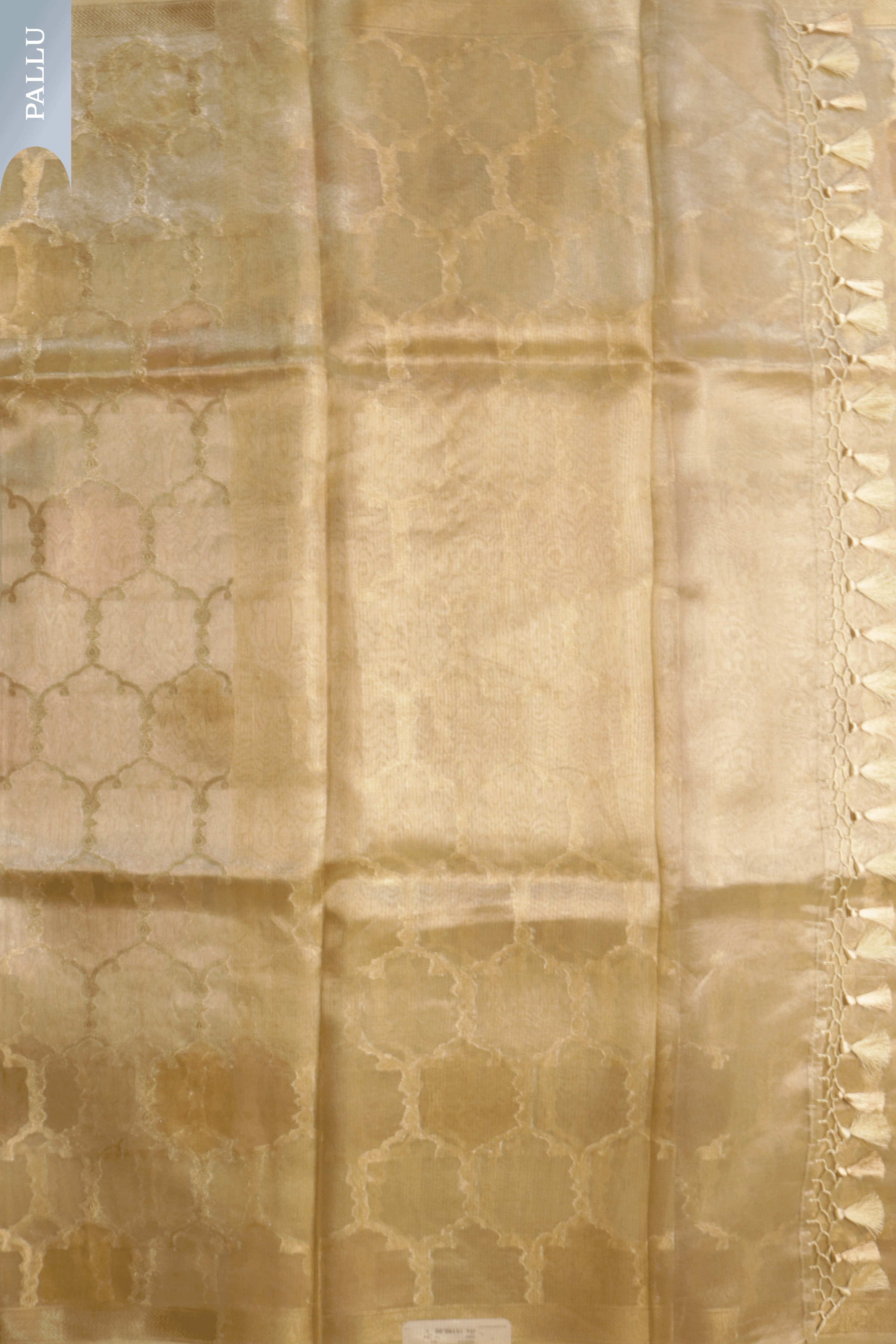 Champagne Gold Tissue Kora Banarasi Saree with Trellis Motifs  Mokshaa