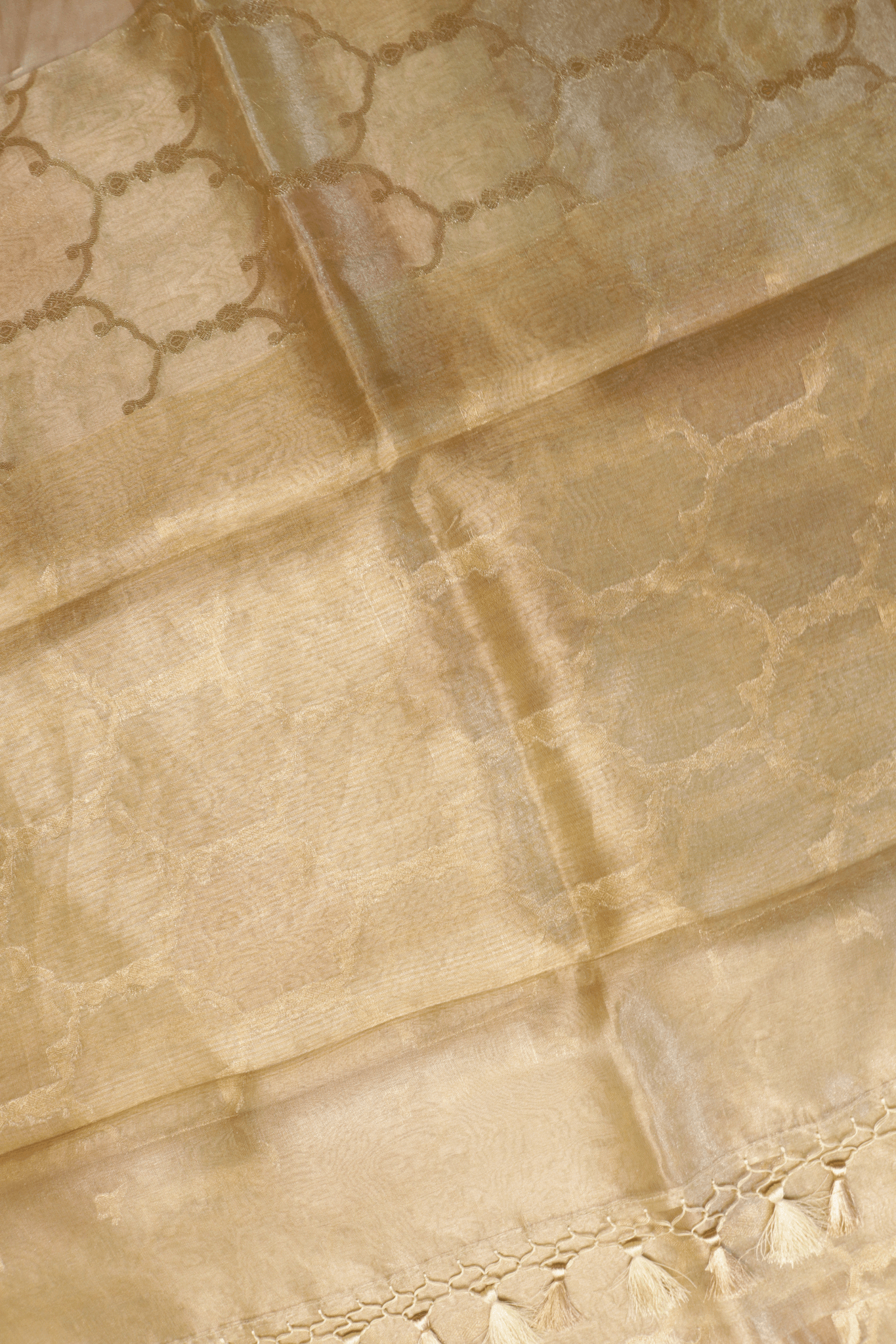 Champagne Gold Tissue Kora Banarasi Saree with Trellis Motifs  Mokshaa