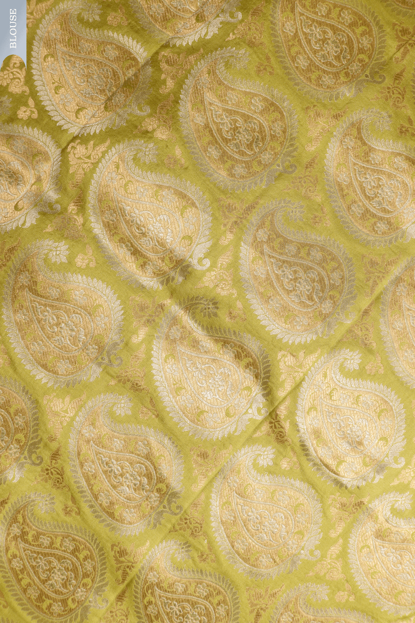 Champagne Gold Tissue Kora Banarasi Saree with Trellis Motifs  Mokshaa