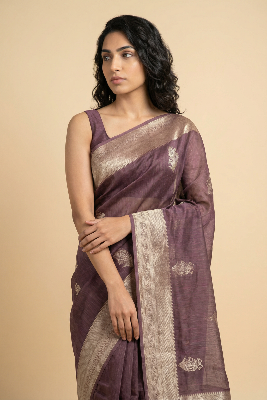 Chikko Linen Banaras Saree with All Over Buttis and Rich Zari Border