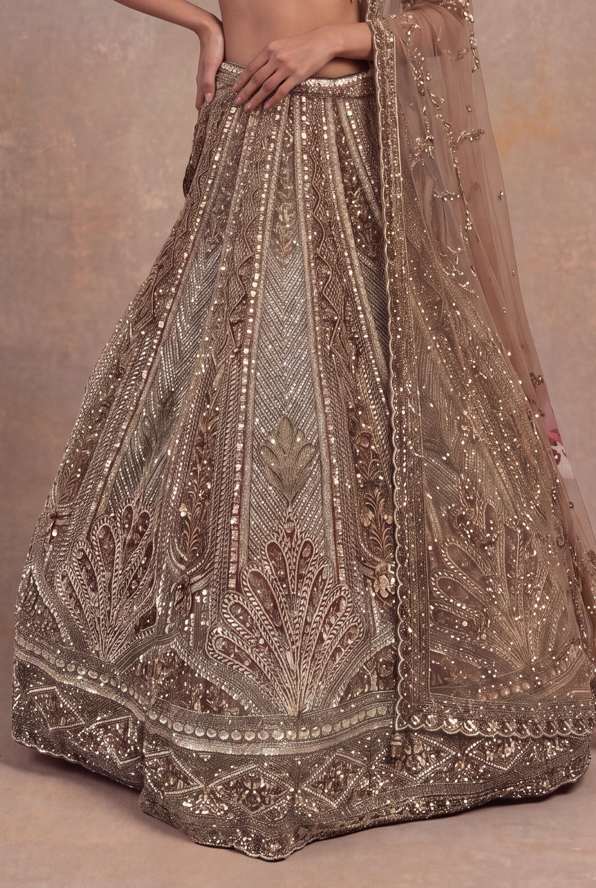 Honey Net Embellished Lehenga