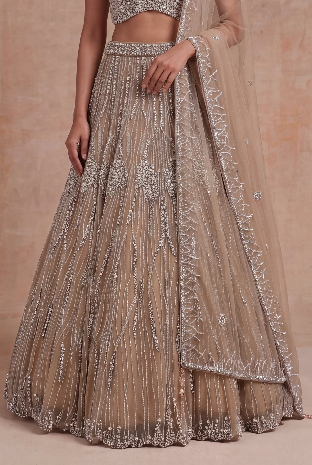 Gold Embellished Net Lehenga