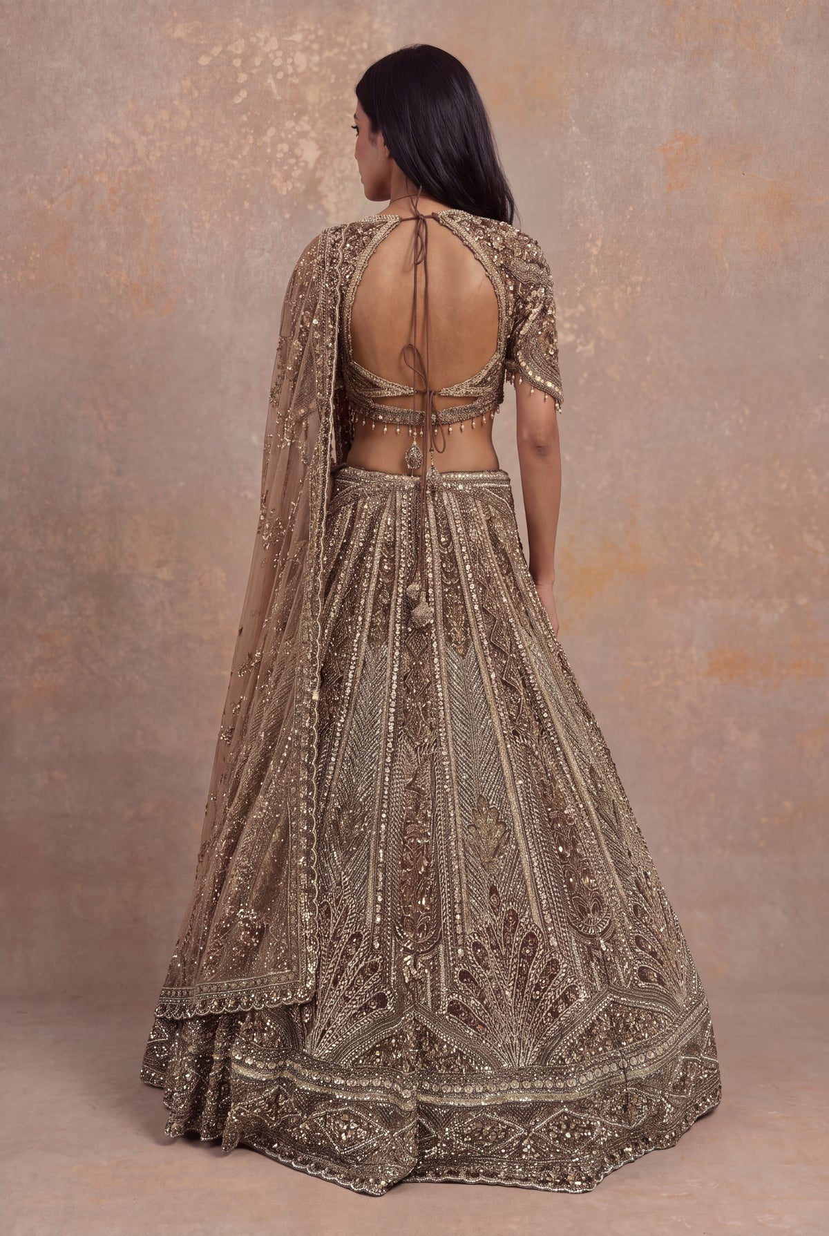Honey Net Embellished Lehenga