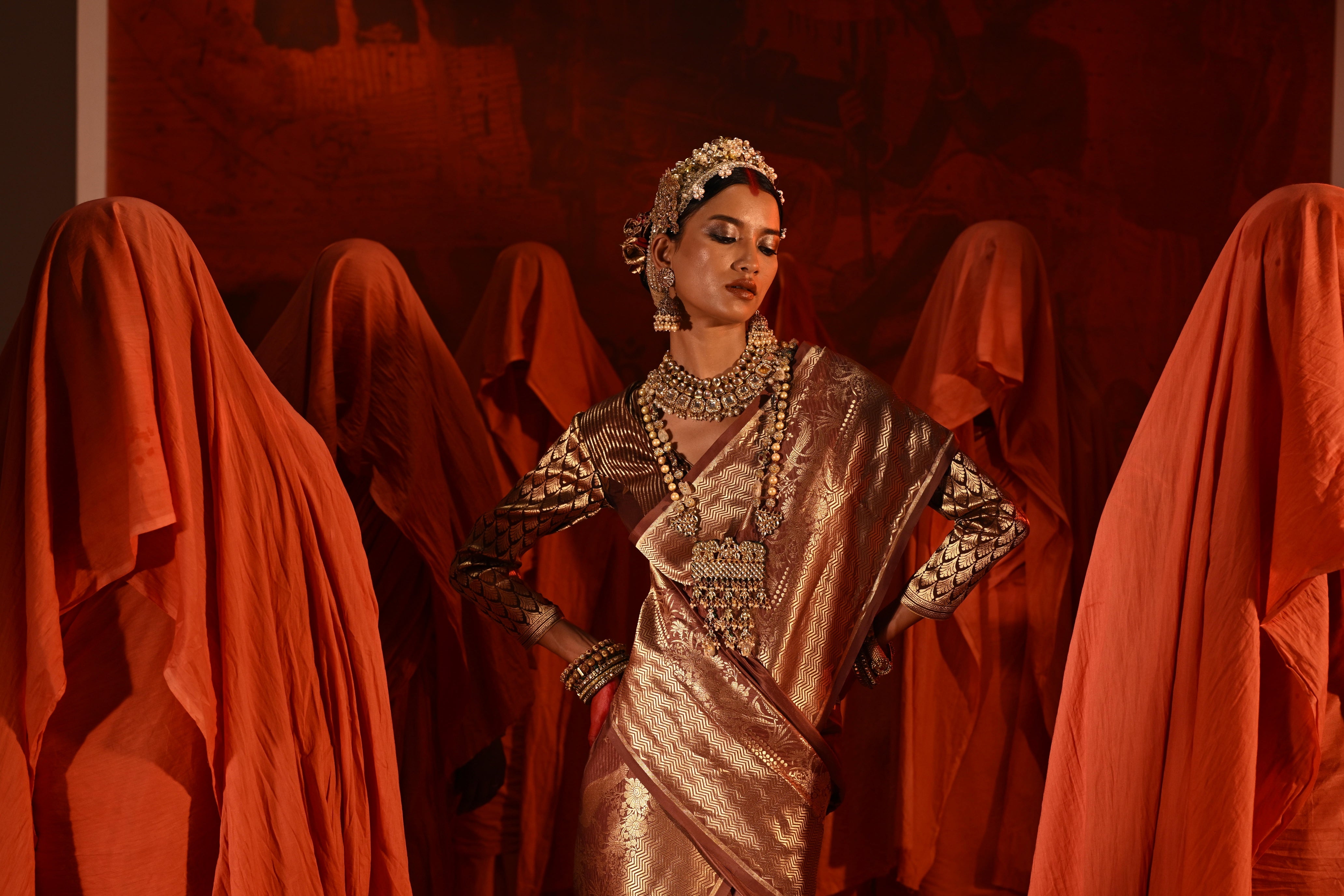 Brown Banarasi Silk Saree with Peacock Border Weaving