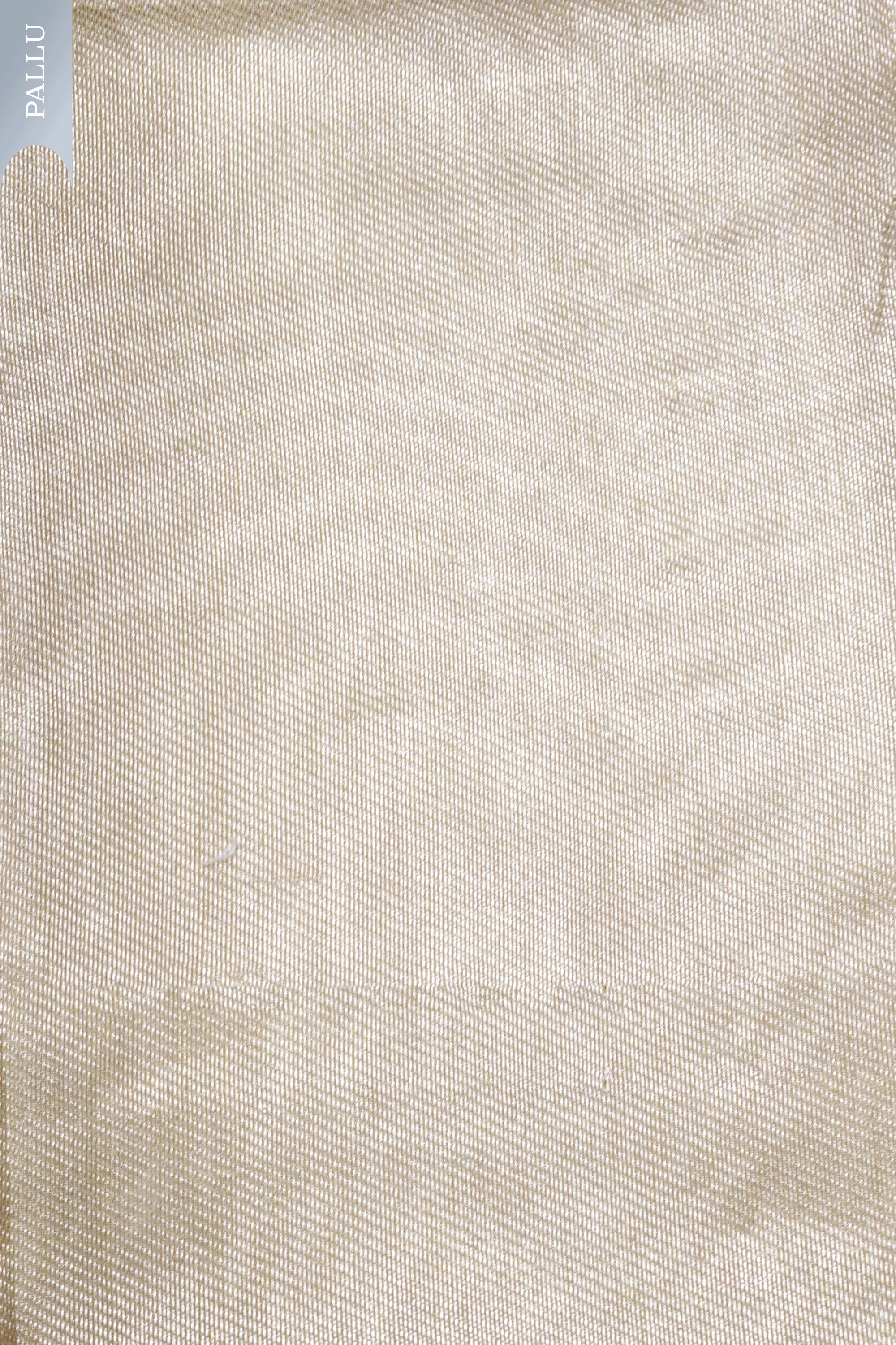 Yellow Banarasi Chanderi Tissue Silk Saree with Silver Zari Motifs