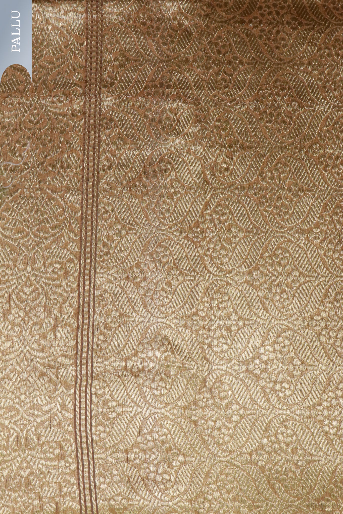 Green Banarasi Kora Saree with Gold Motifs & Contrast Pallu