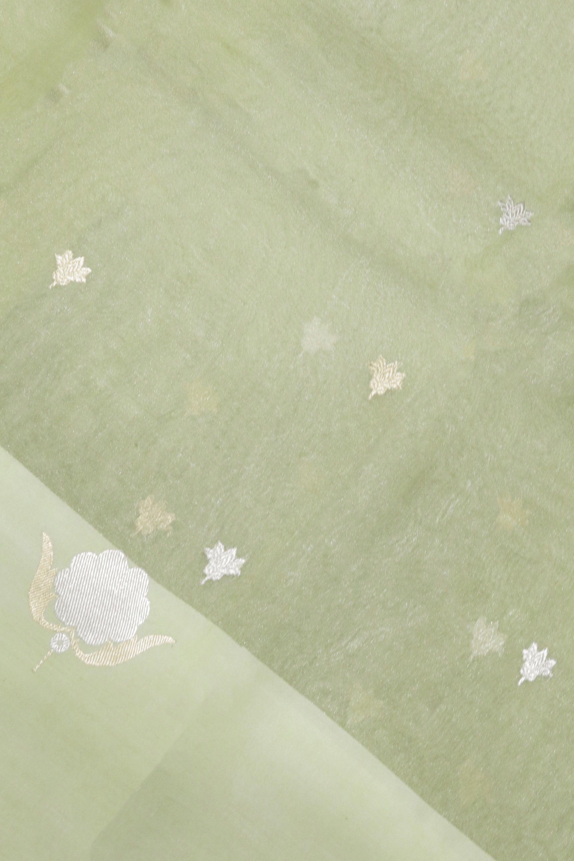 Pista Green Banarasi Tissue Silk Saree with Satin Border