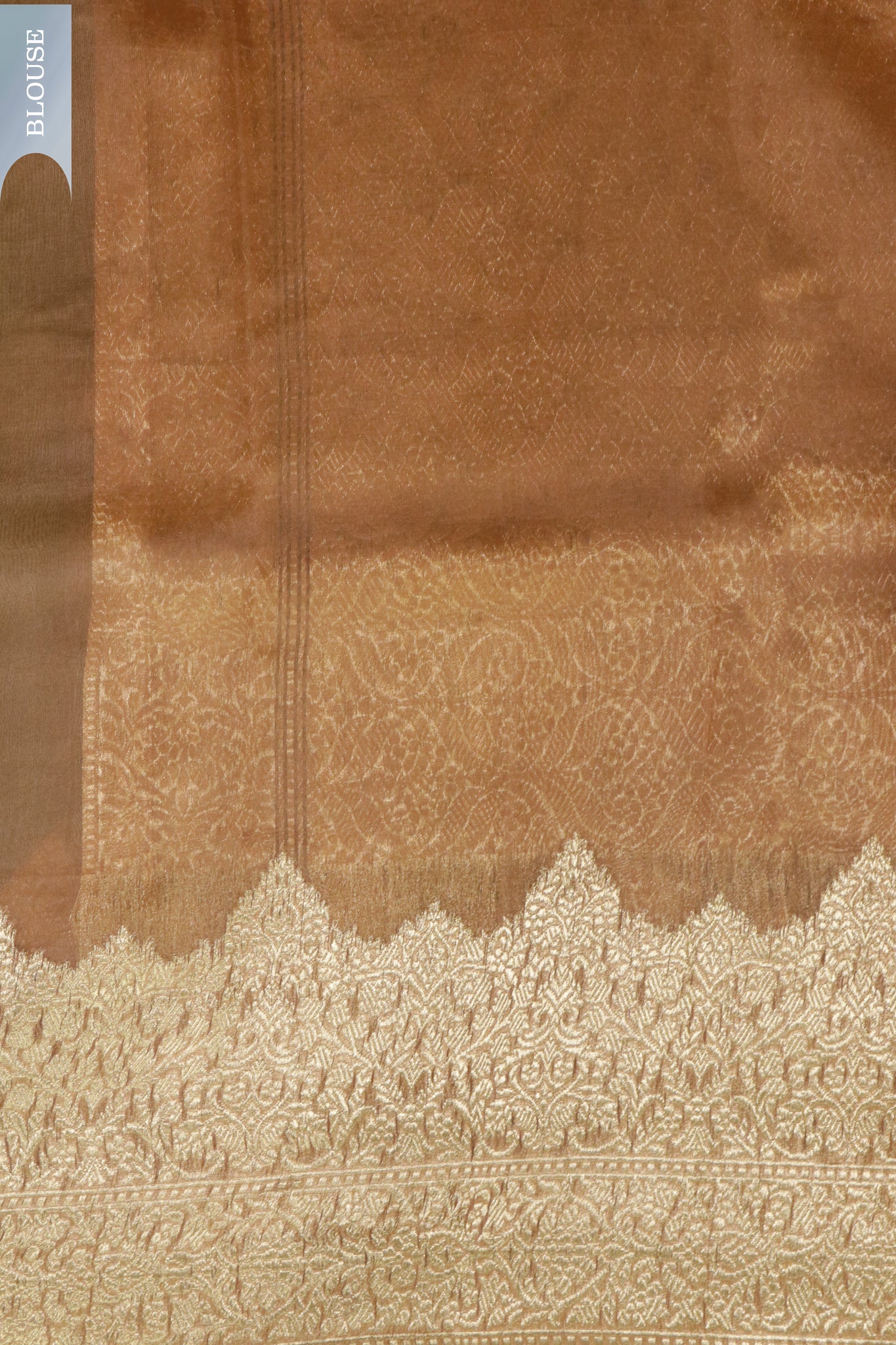 Green Banarasi Kora Saree with Gold Motifs & Contrast Pallu